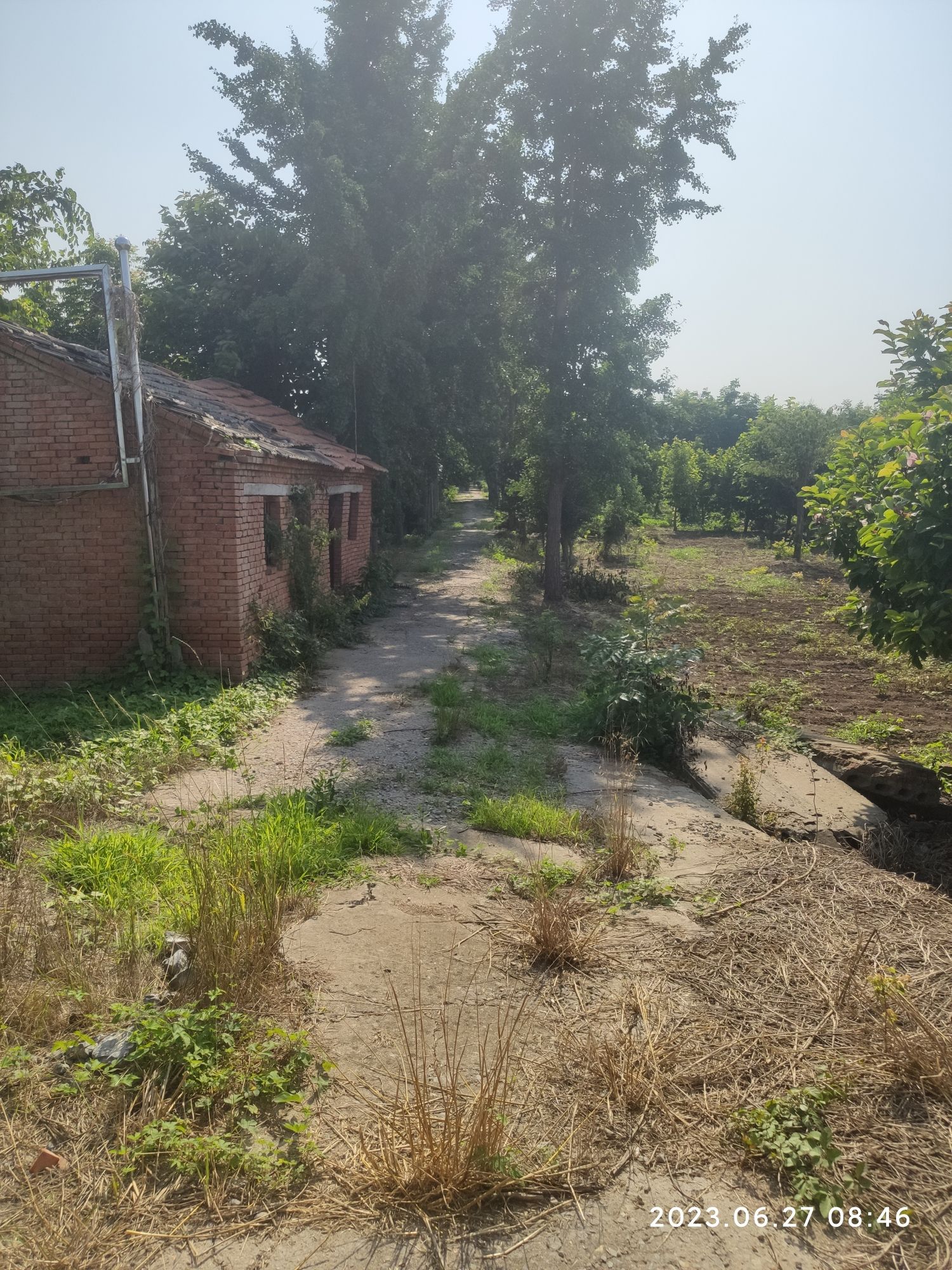 白鹭公园旅行图片