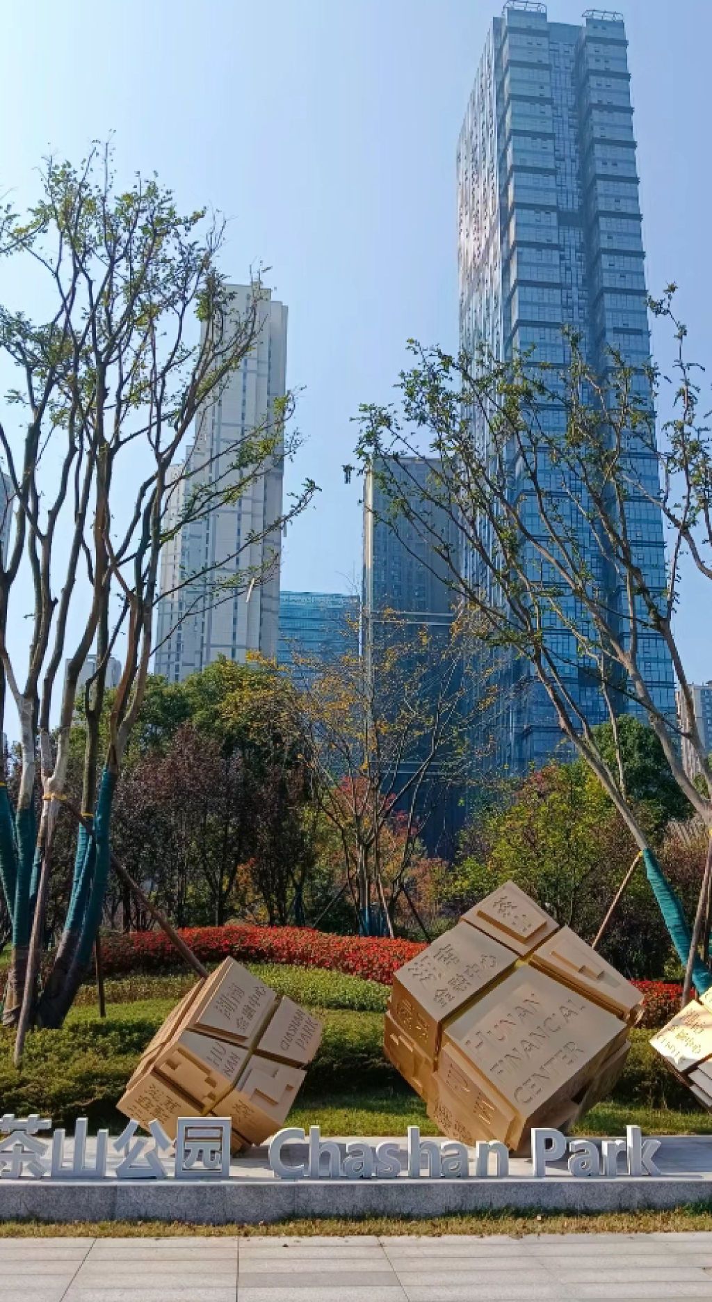 滨江新城茶山公园
