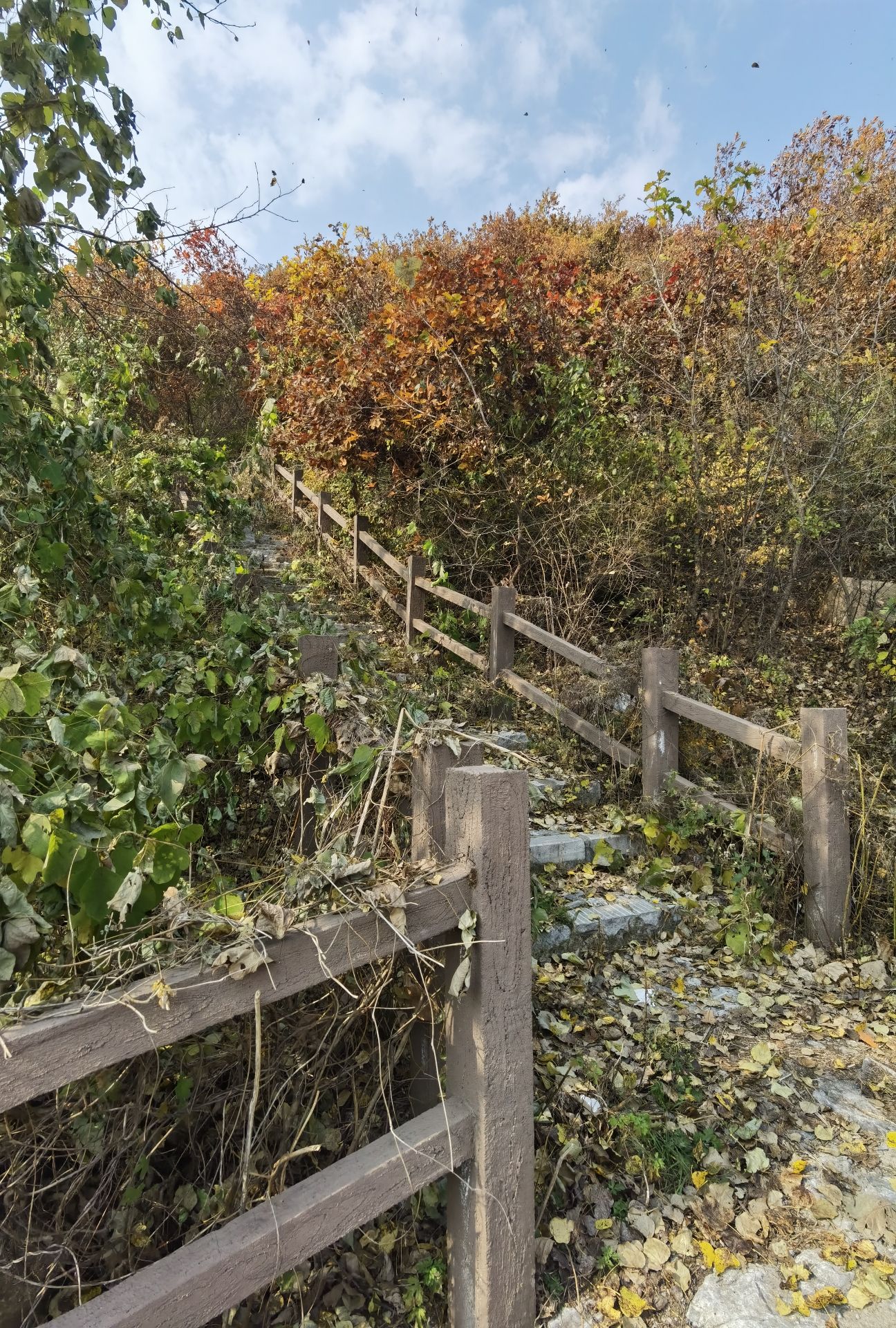 通明山风景区旅行图片