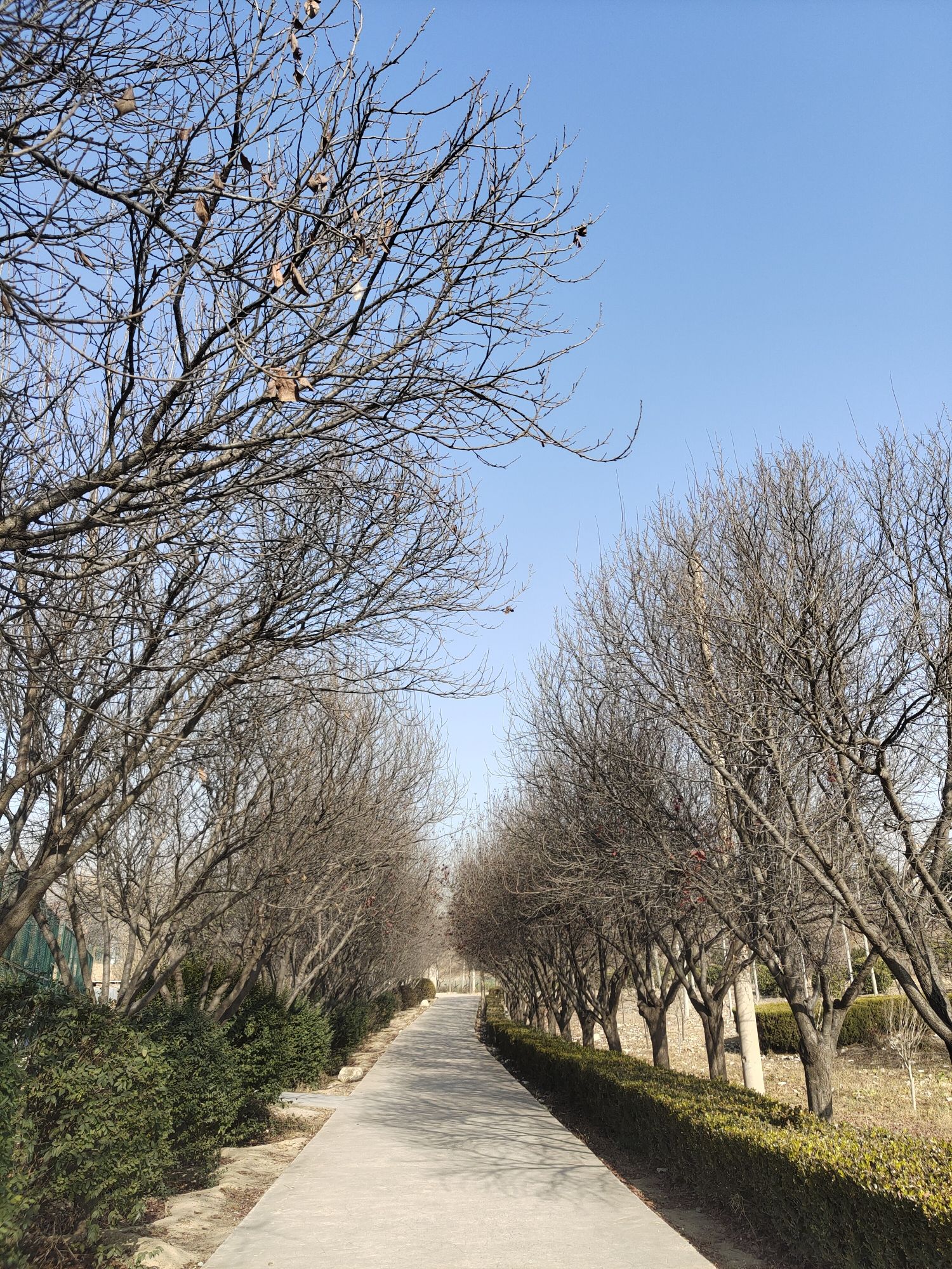 峨嵋公园旅行图片