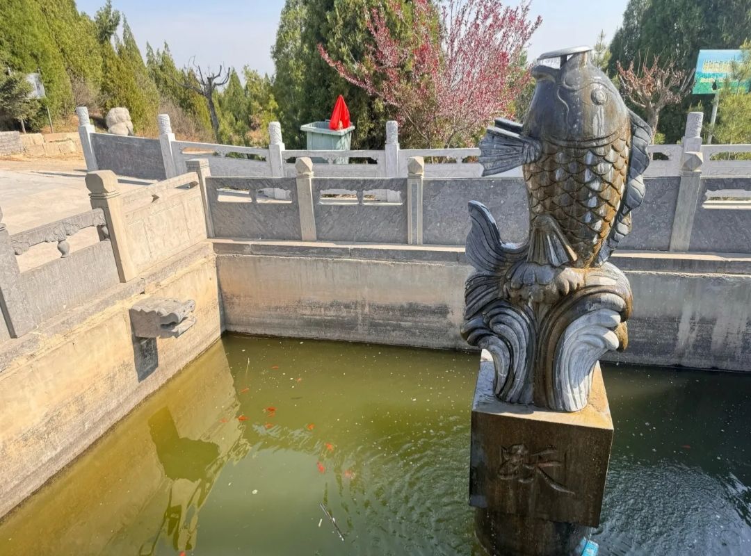 汾阳市老爷山