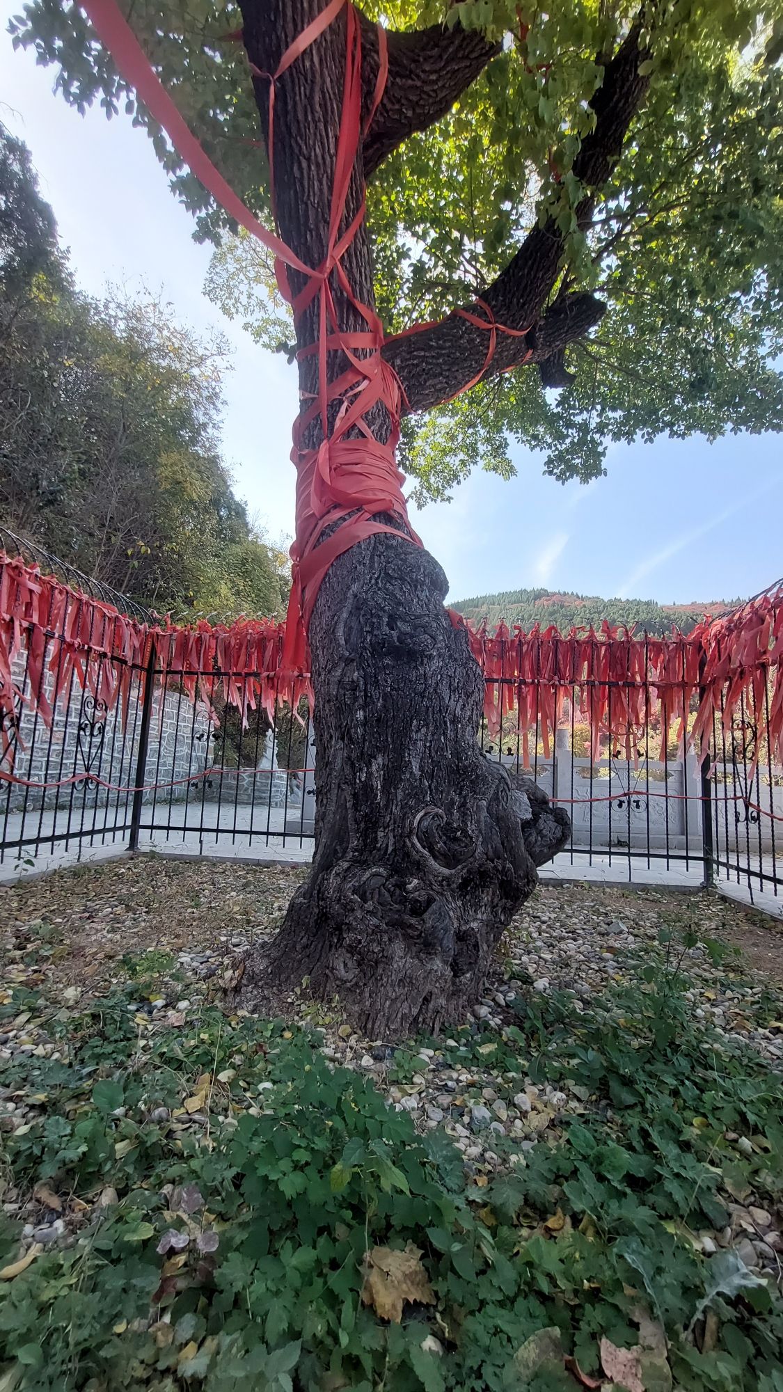 捎近风景区旅行图片