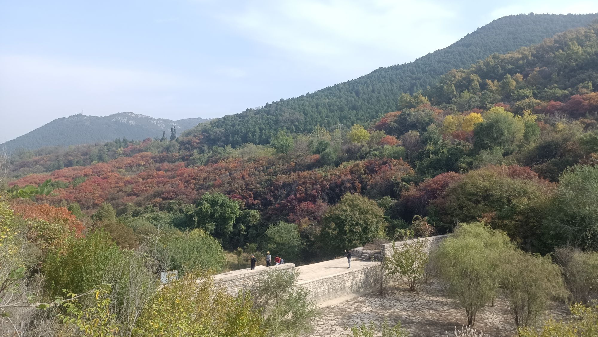 捎近风景区旅行图片