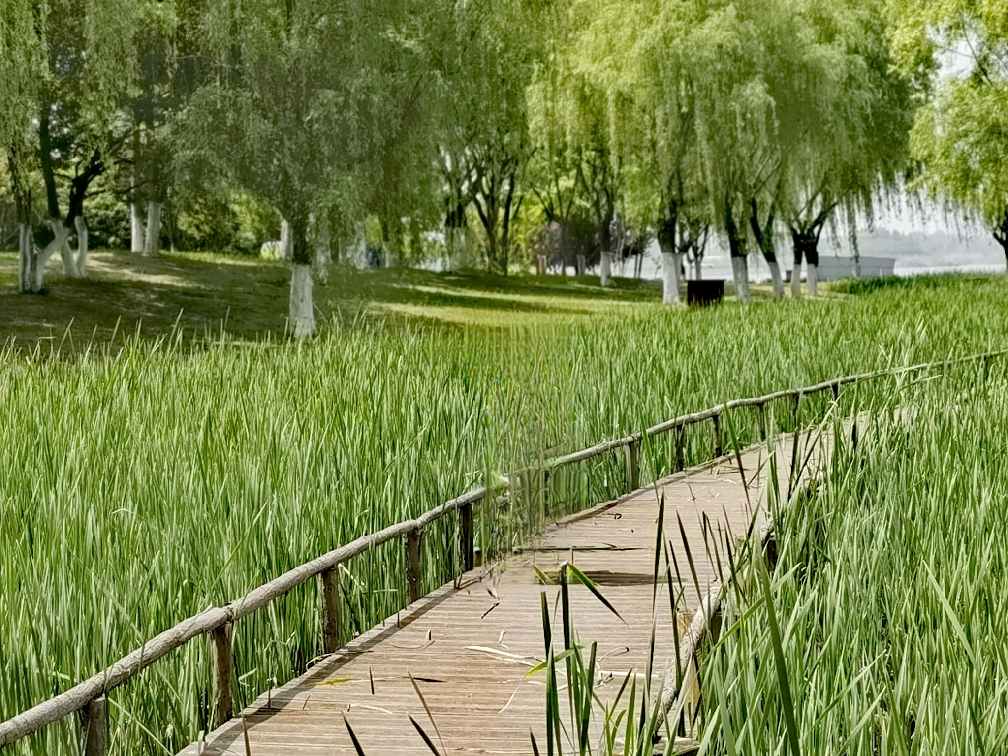 方兴湖公园