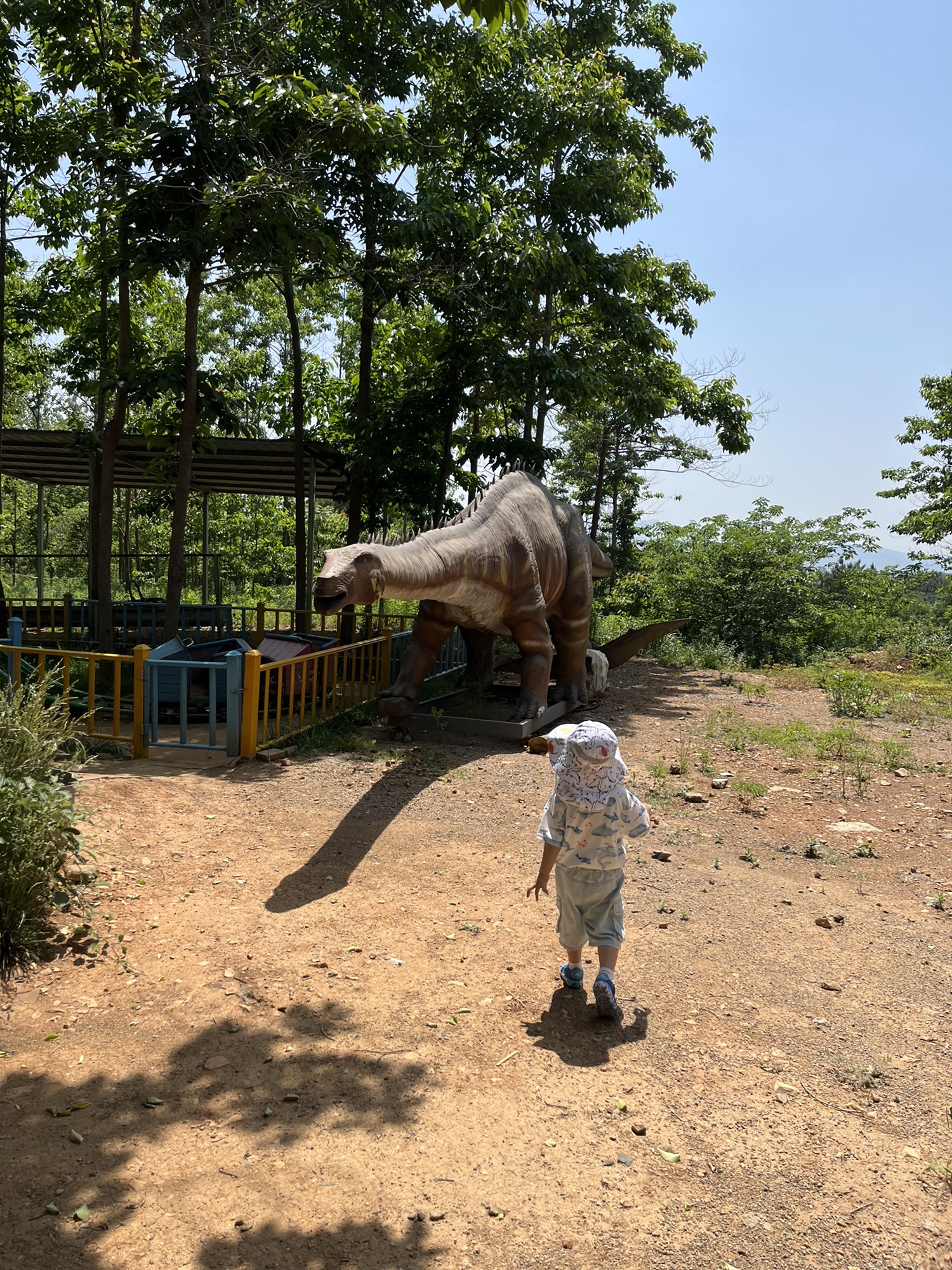 长山薰衣草彩虹小镇旅行图片