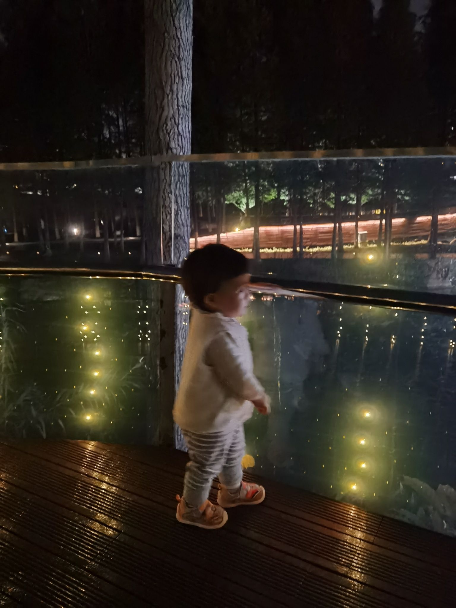 鸣凤漙公园旅行图片