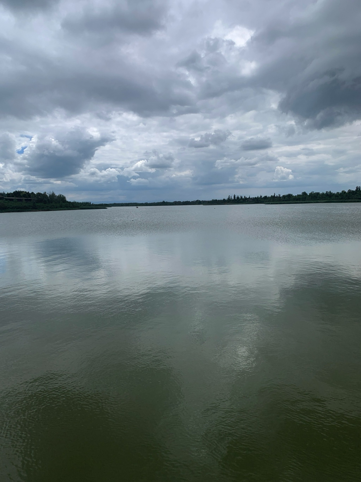 鹅毛河湿地公园旅行图片
