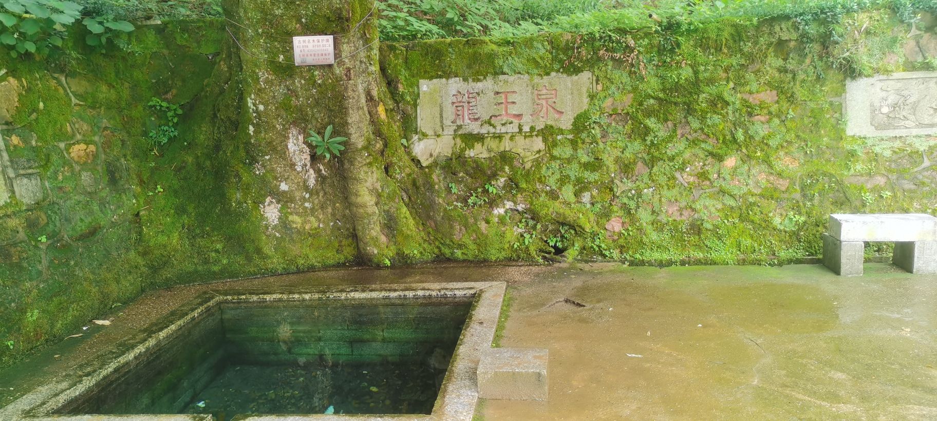 衡东四方山森林公园