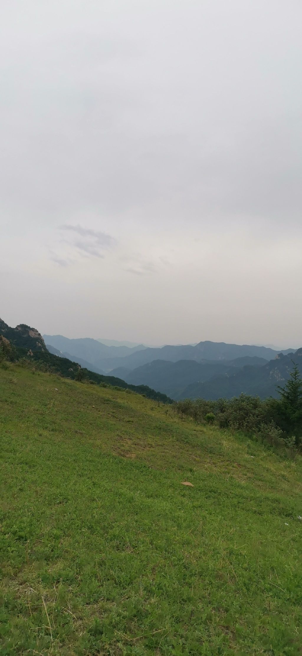 石家庄老虎头森林公园旅行图片
