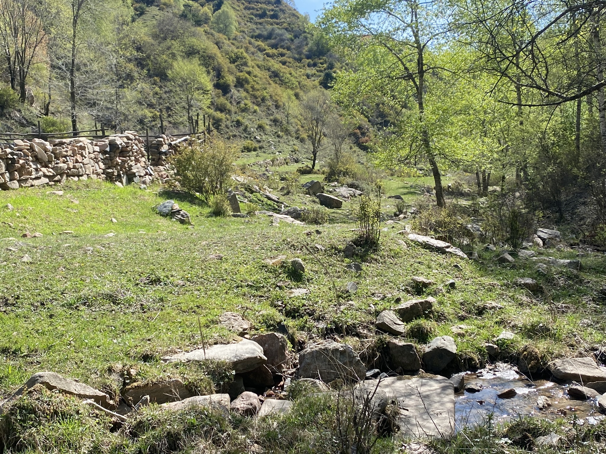 石家庄老虎头森林公园旅行图片