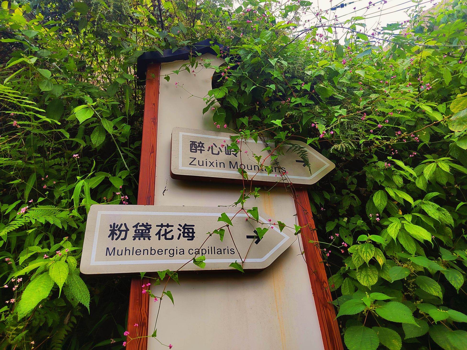月宫山古道