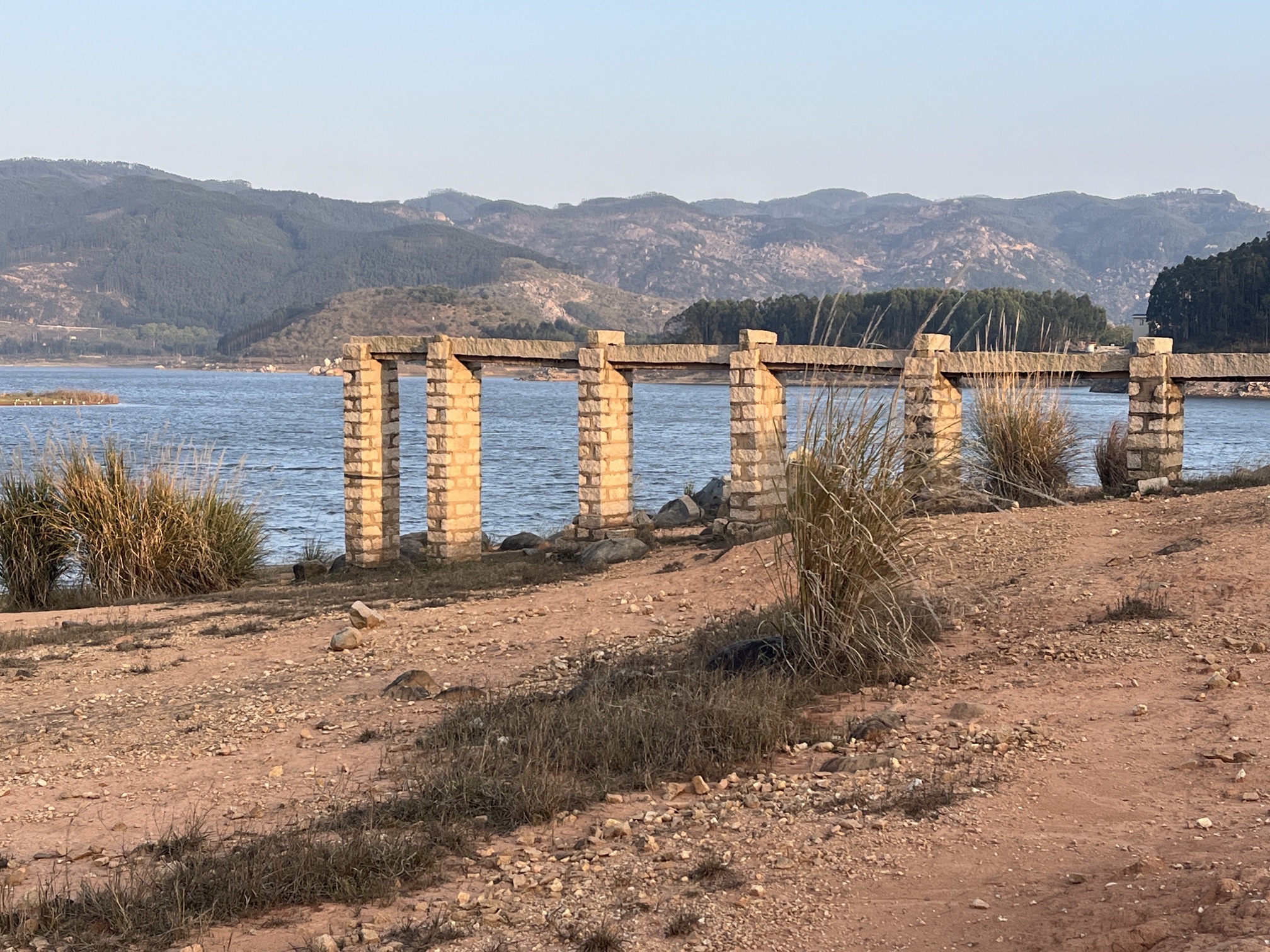 白鹭森林公园旅行图片