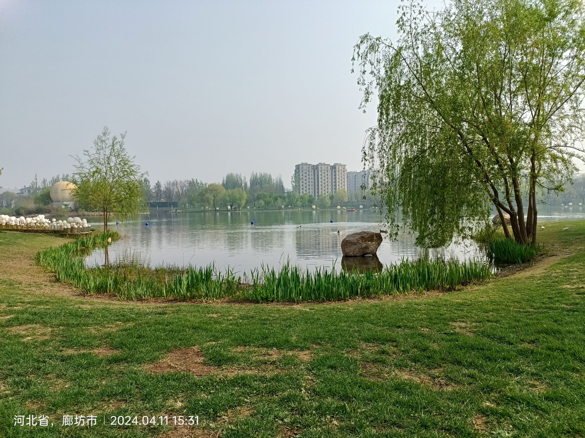 固安孔雀城大湖公园旅行图片