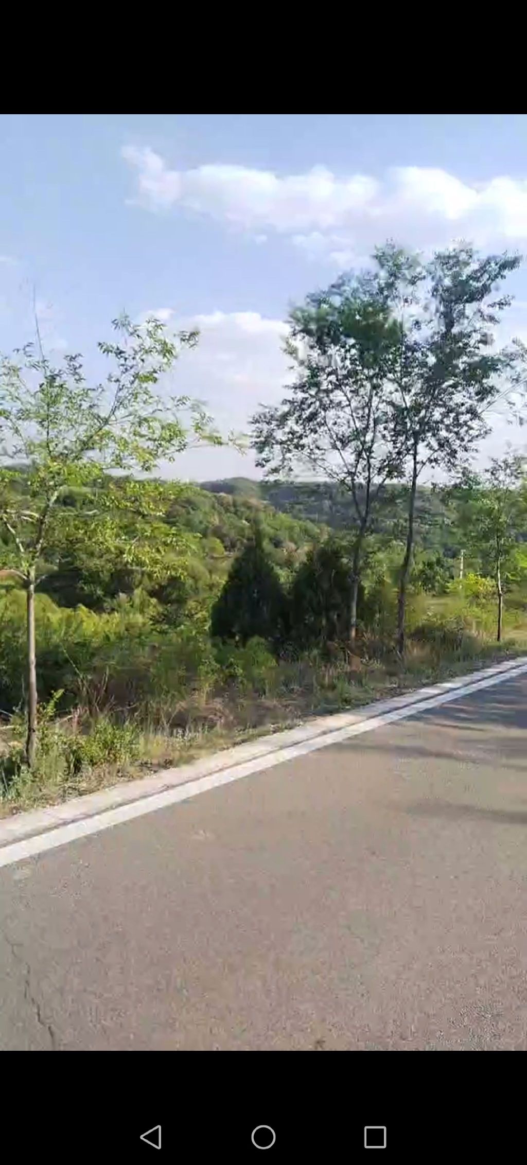 长子县木化石公园旅行图片