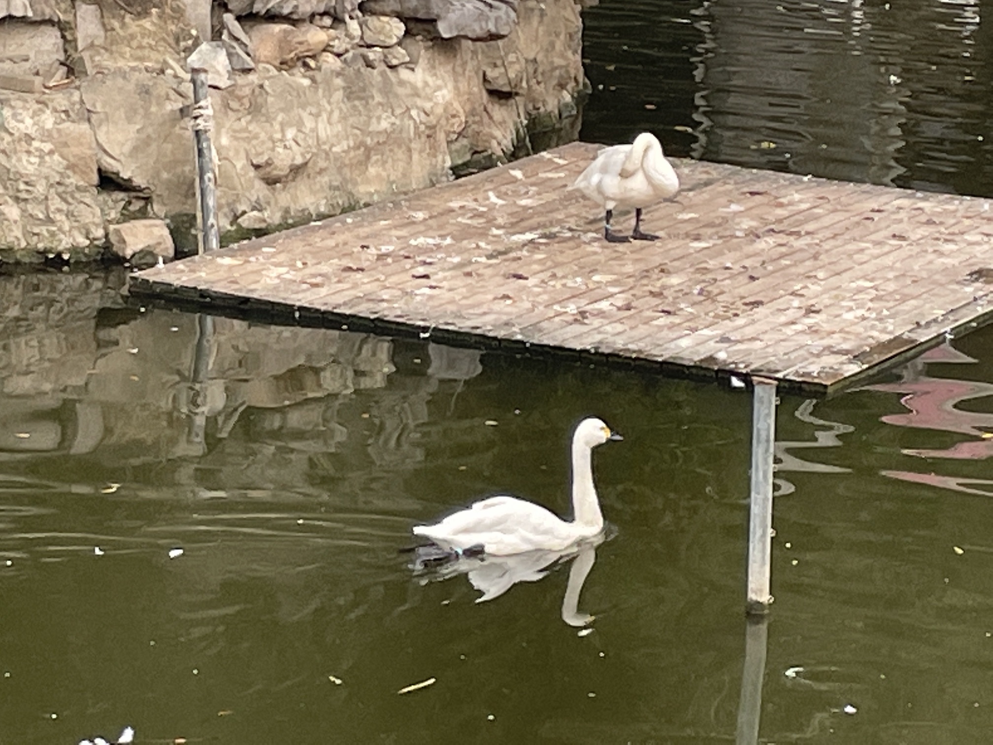 环秀湖体育休闲公园