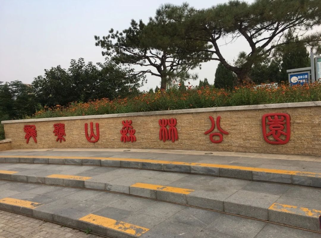 章丘龙盘山森林公园旅行图片