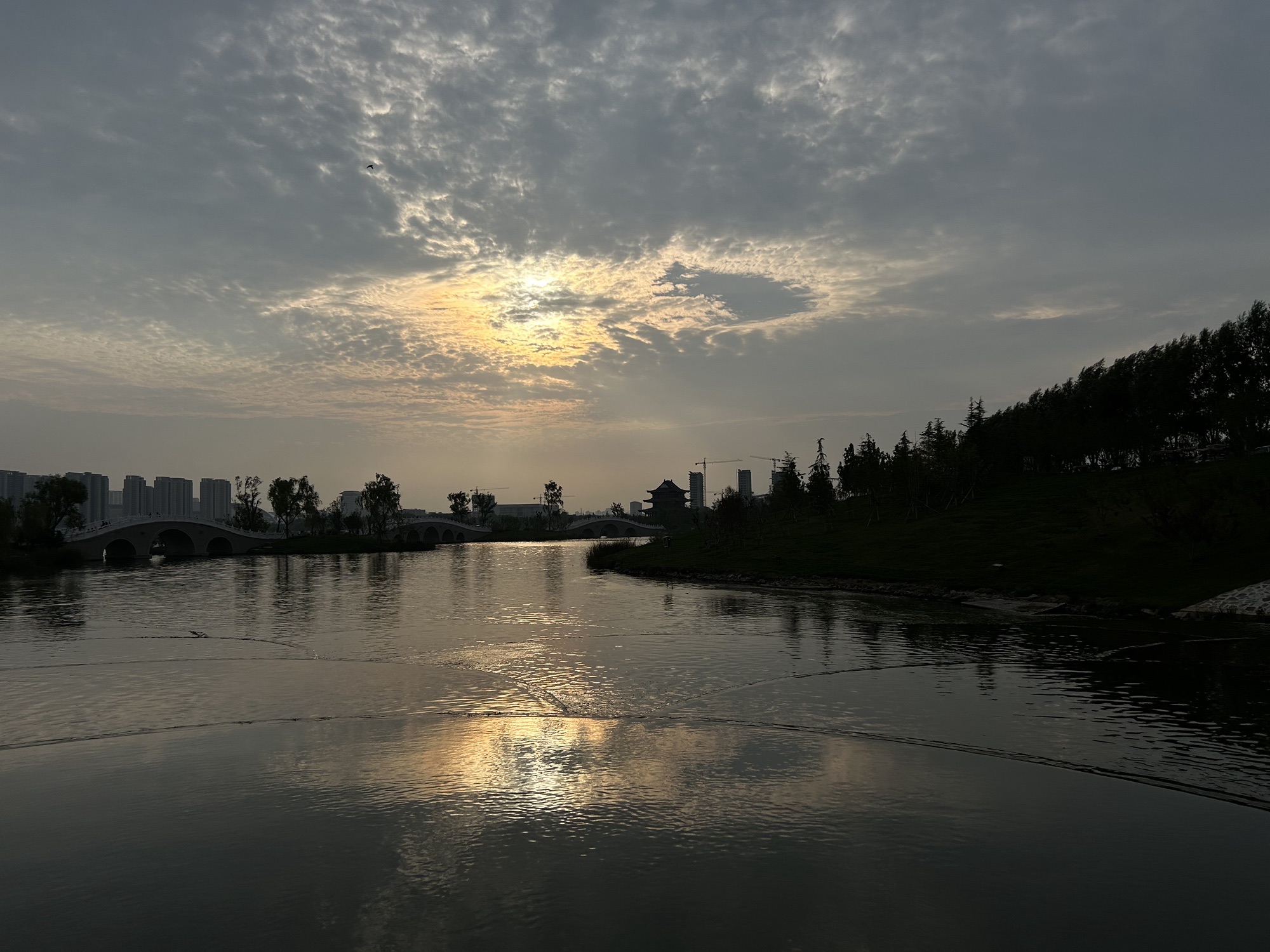 丹河人工湿地公园旅行图片