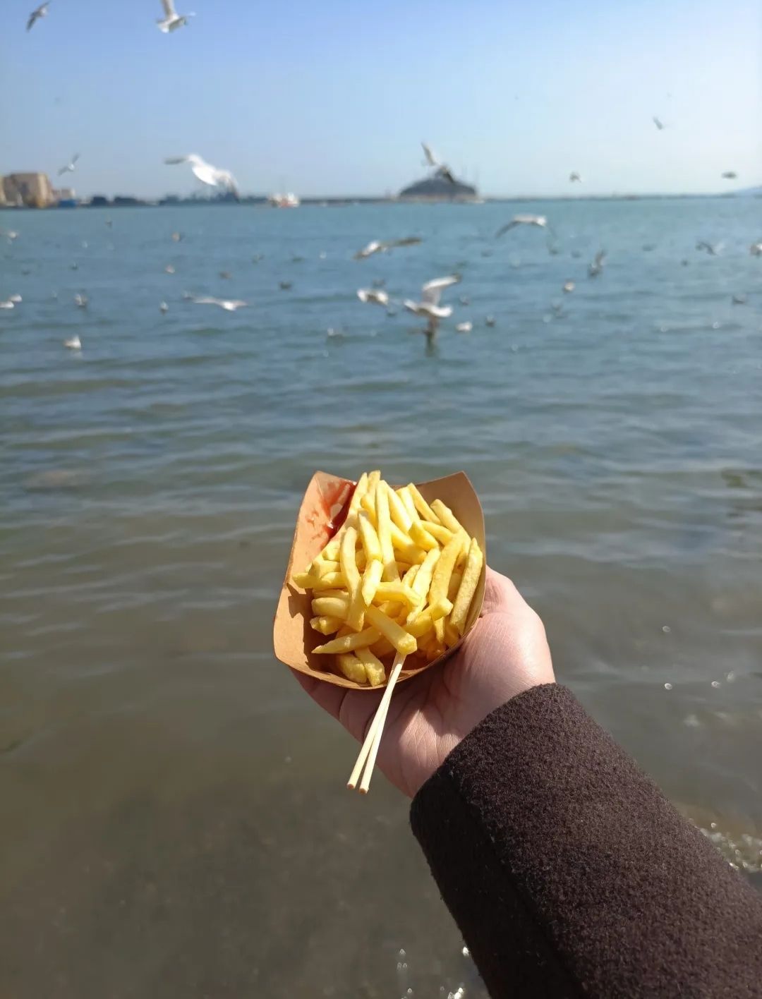 海滨风景区