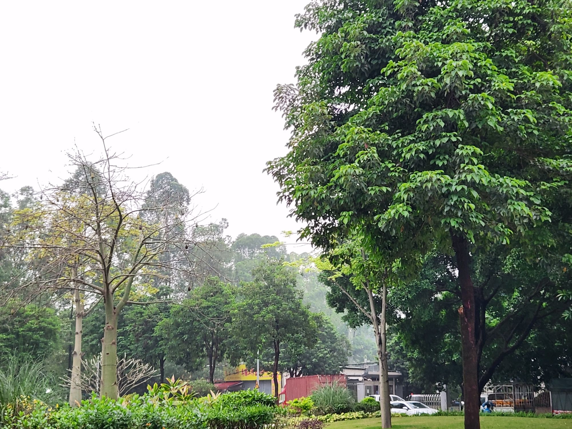广州七星岗古海岸遗址科学公园
