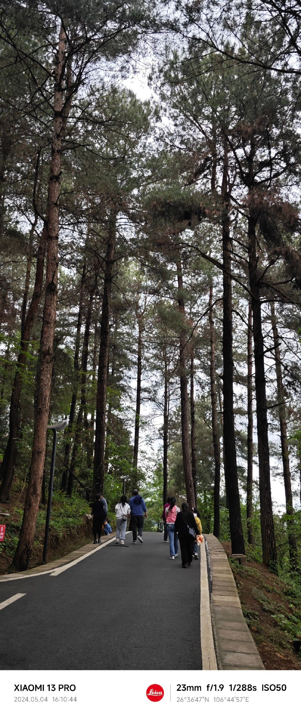登高云山森林公园旅行图片