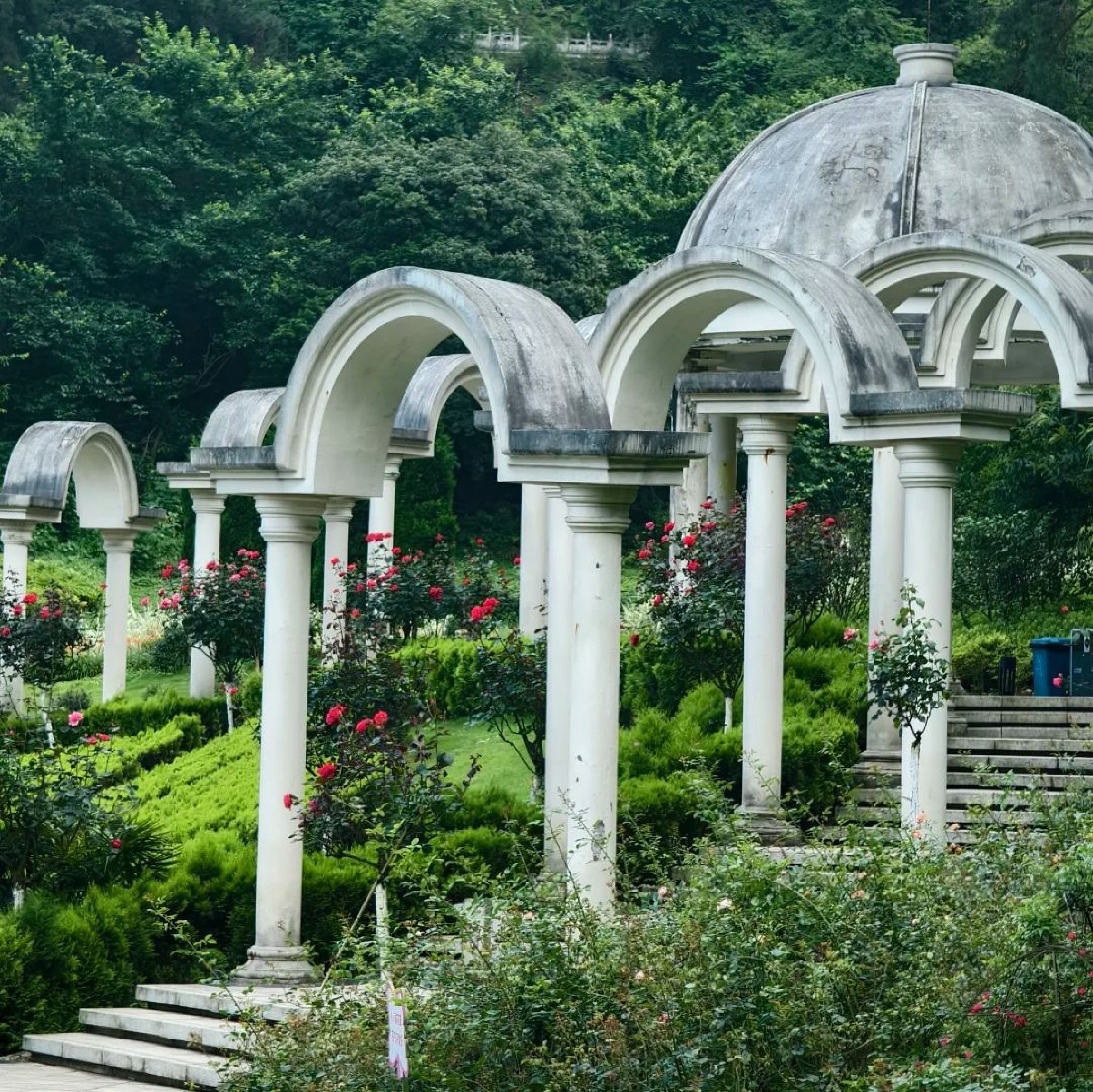 登高云山森林公园旅行图片