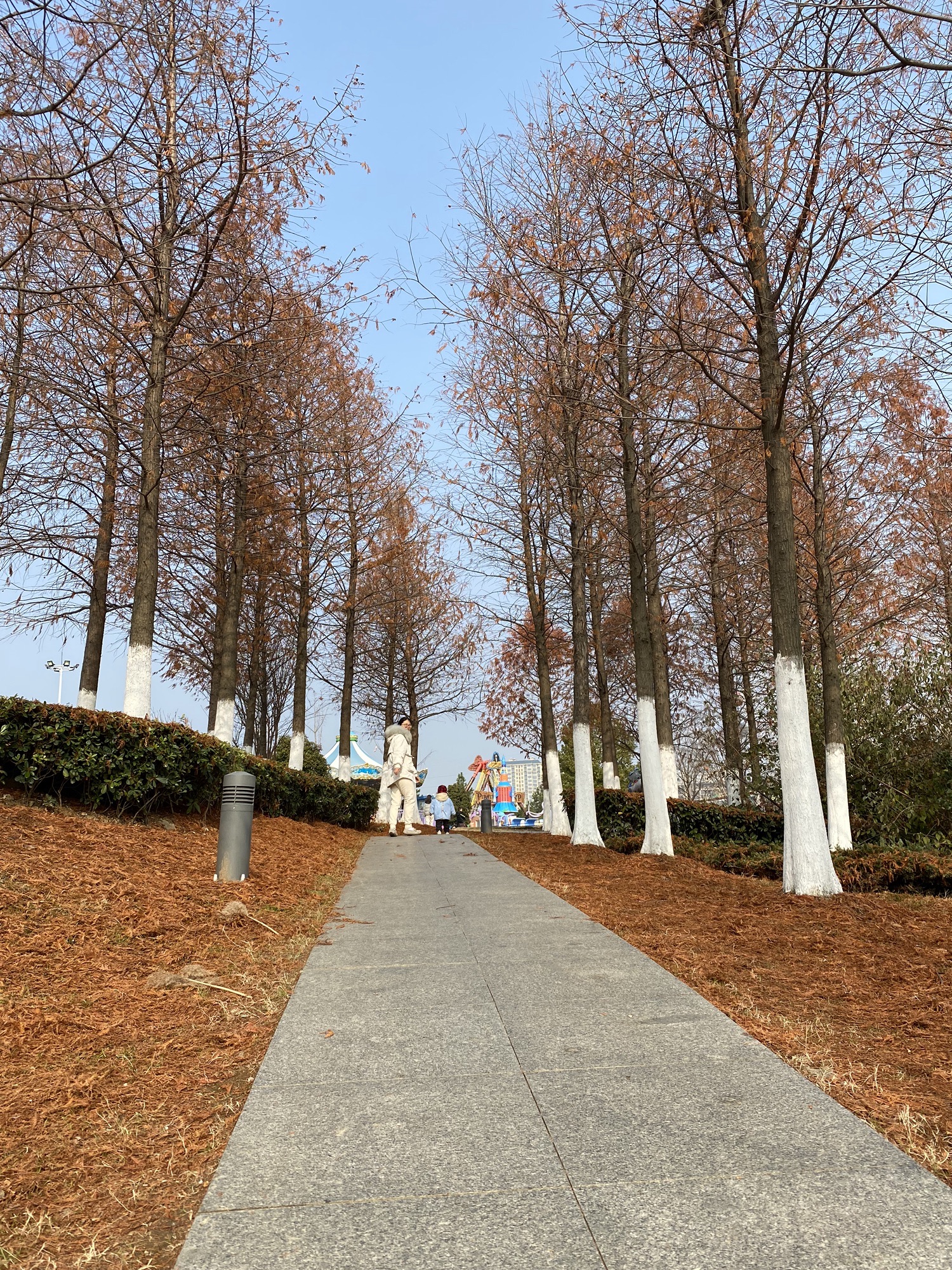 幸庄湿地公园