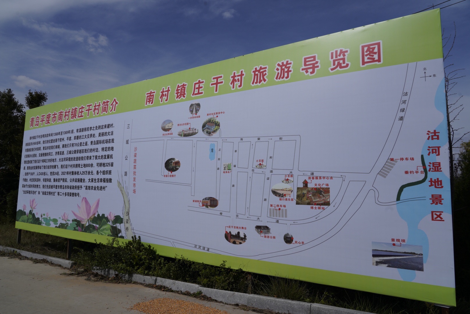 大沽河湿地公园旅行图片