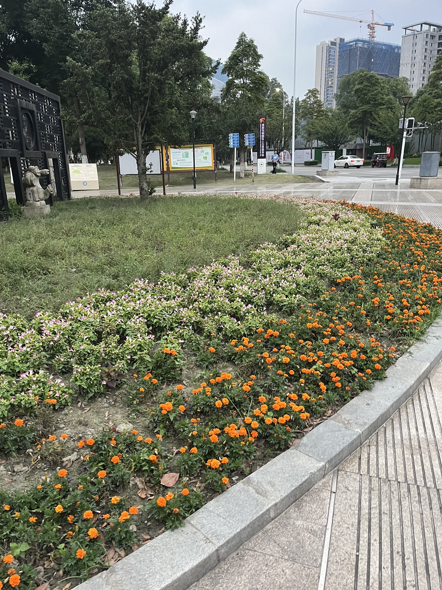 杜鹃公园