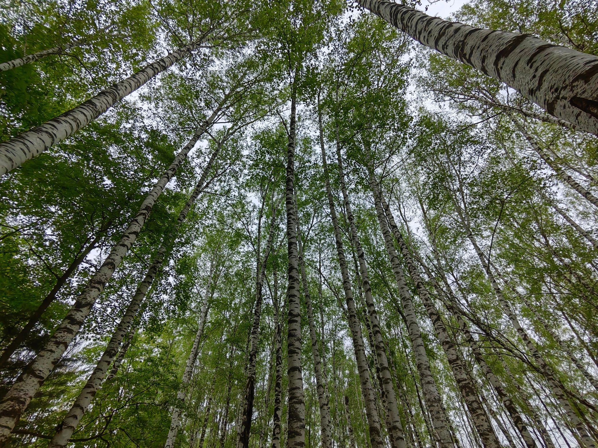 虎峰岭风景区旅行图片