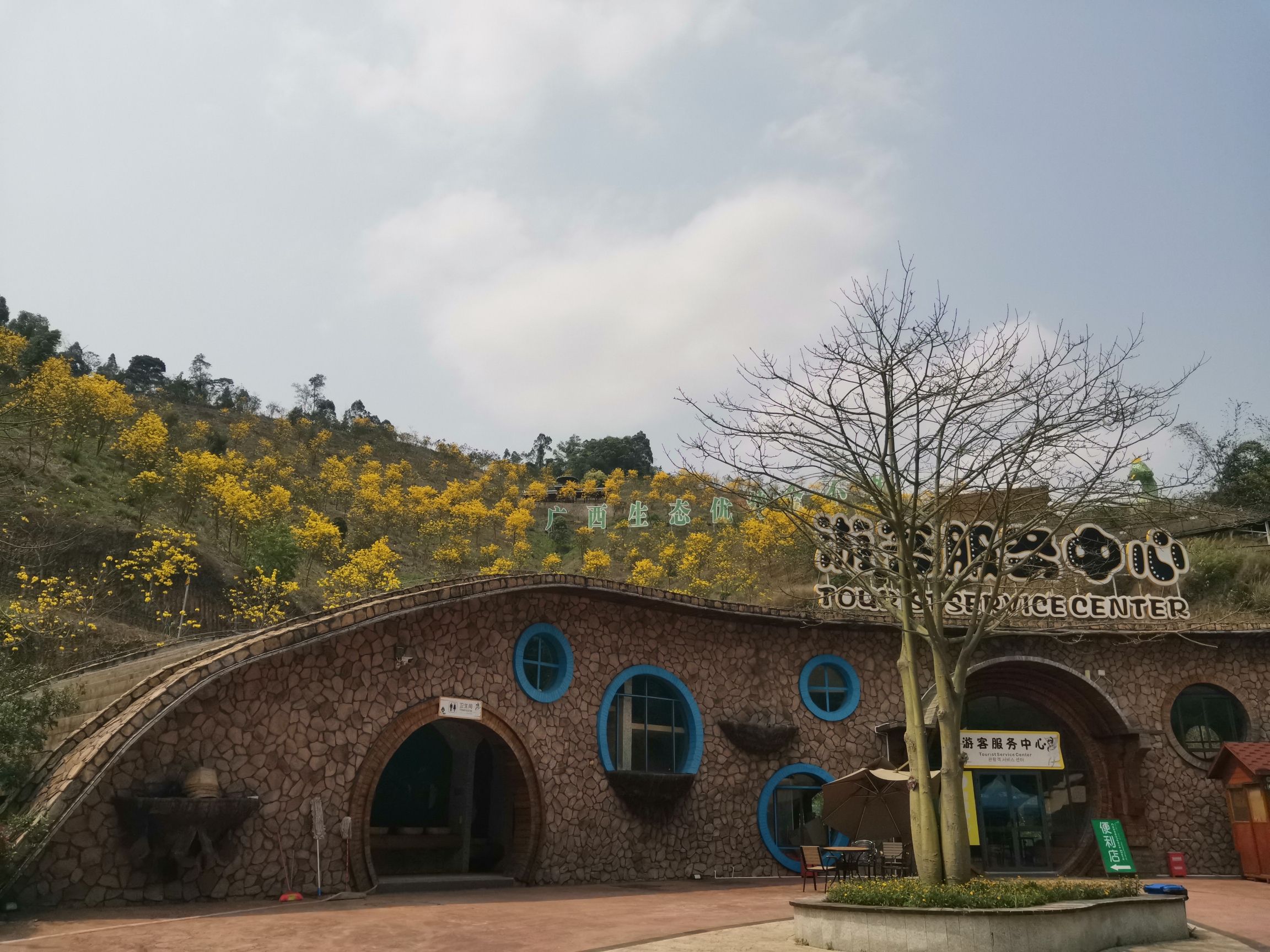 广西高峰森林公园