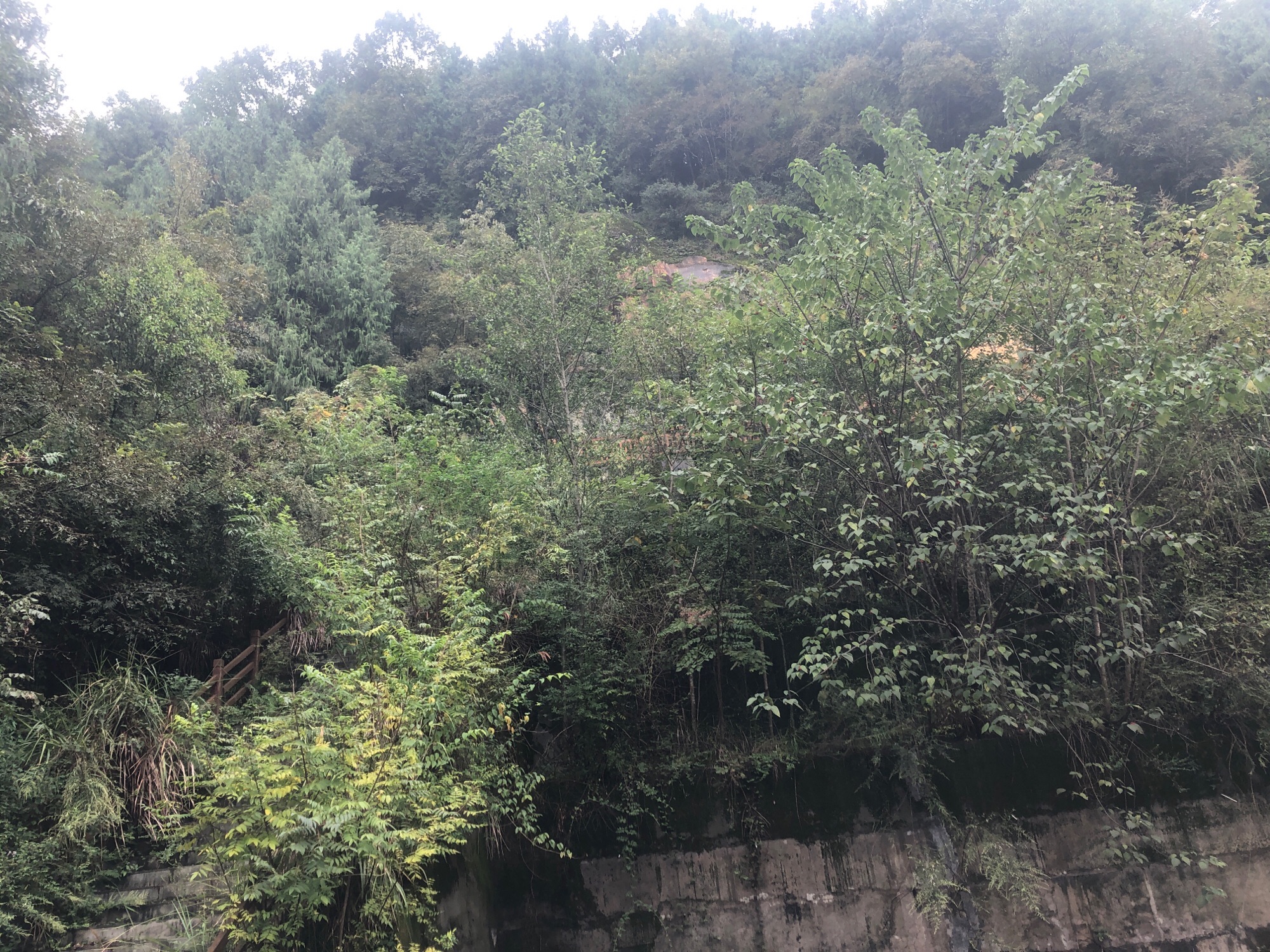 千佛山景区旅行图片