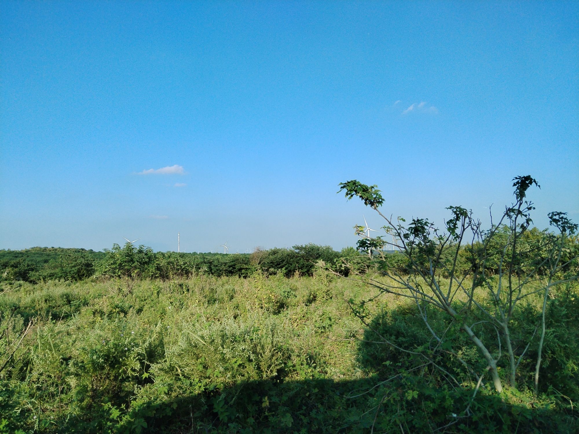 玉皇山影视基地