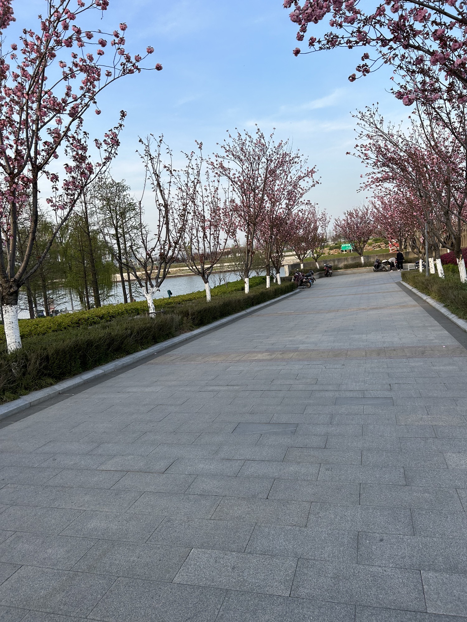 滁河湾湿地公园