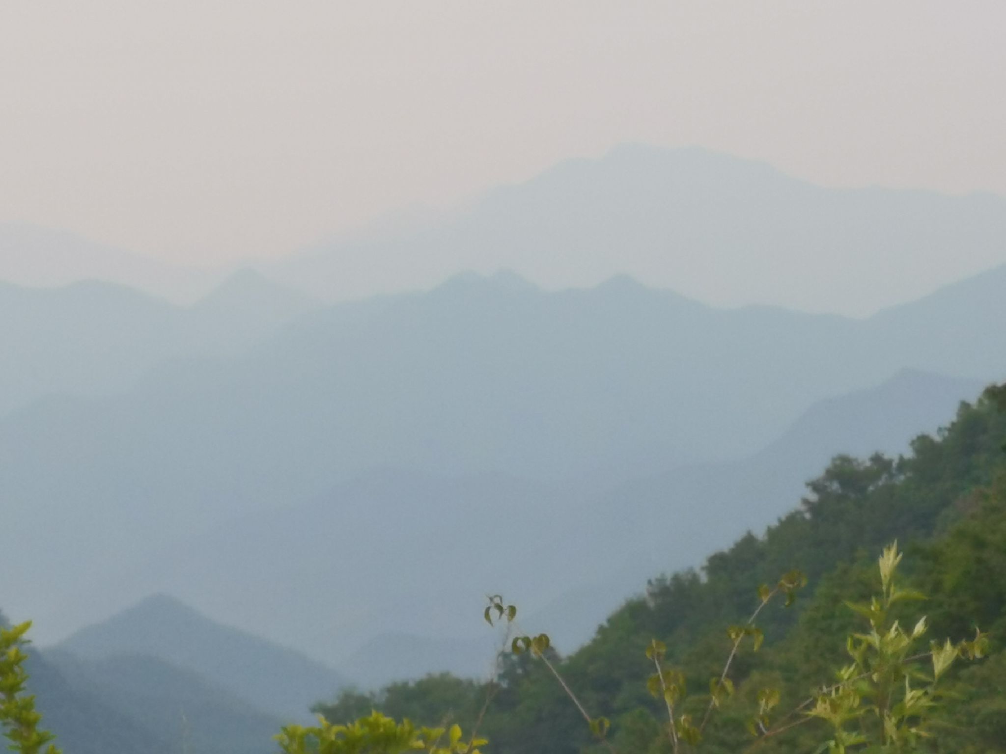 杨山风景区旅行图片