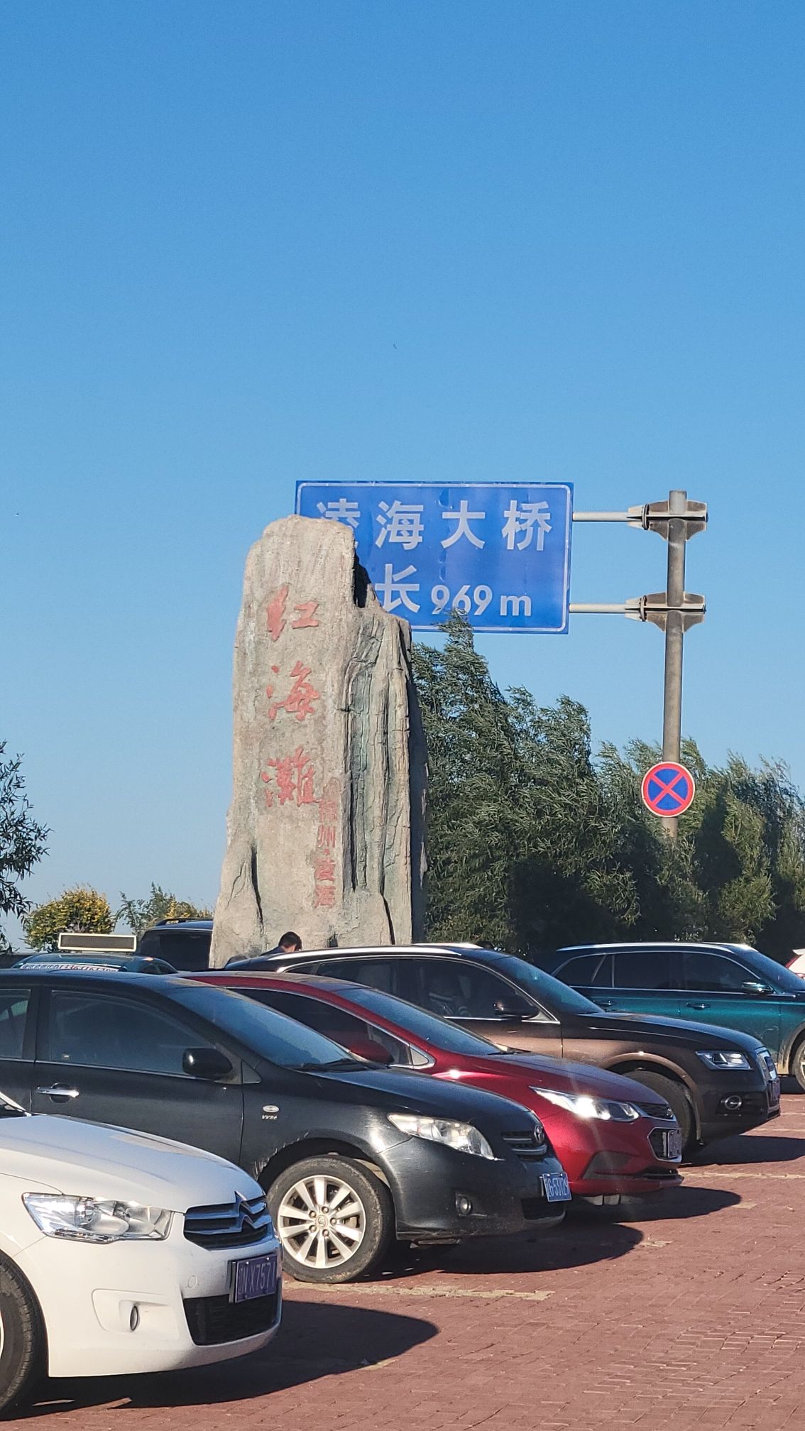 锦州凌海红海滩旅行图片