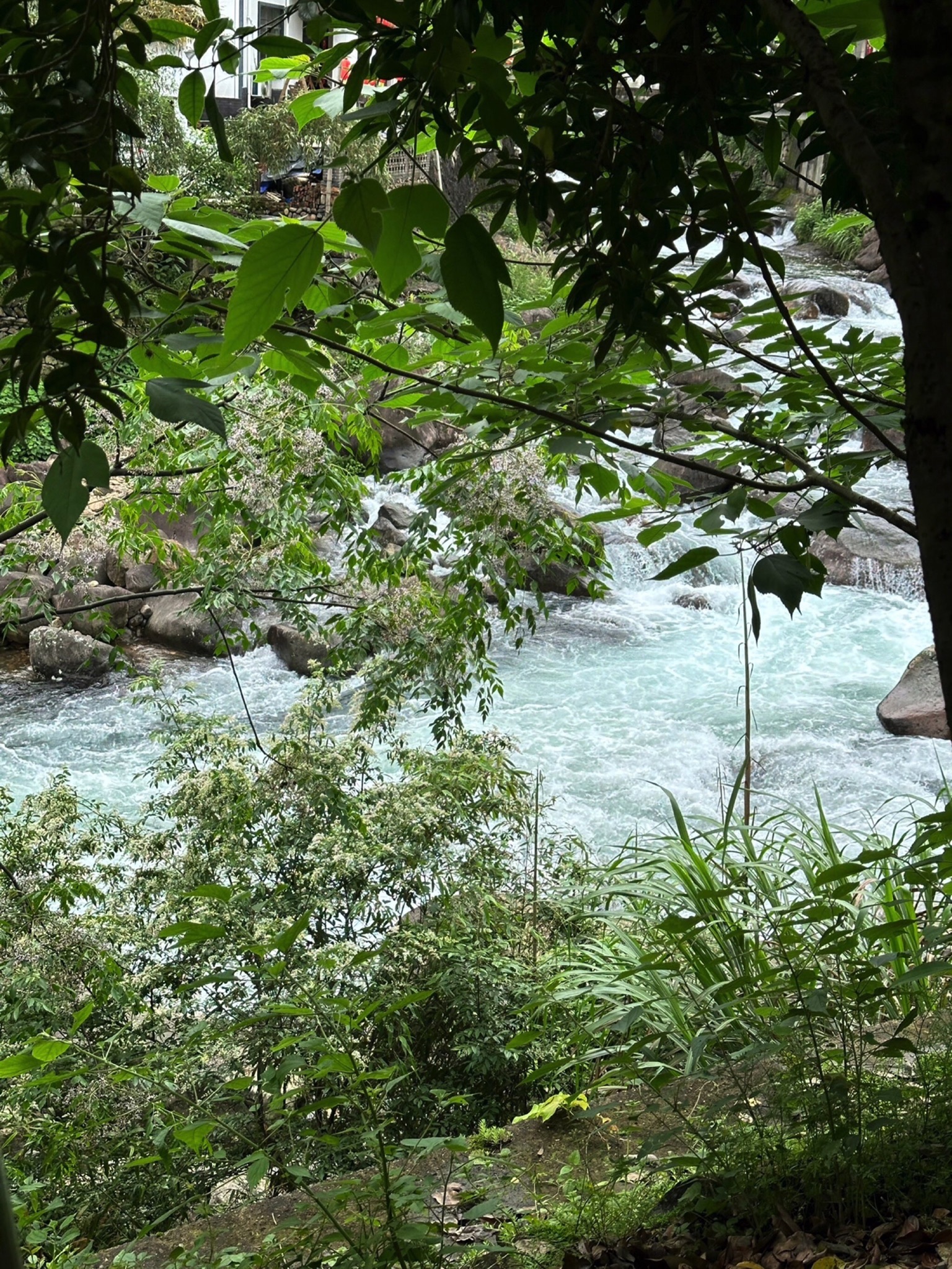 桃源七里景区旅行图片