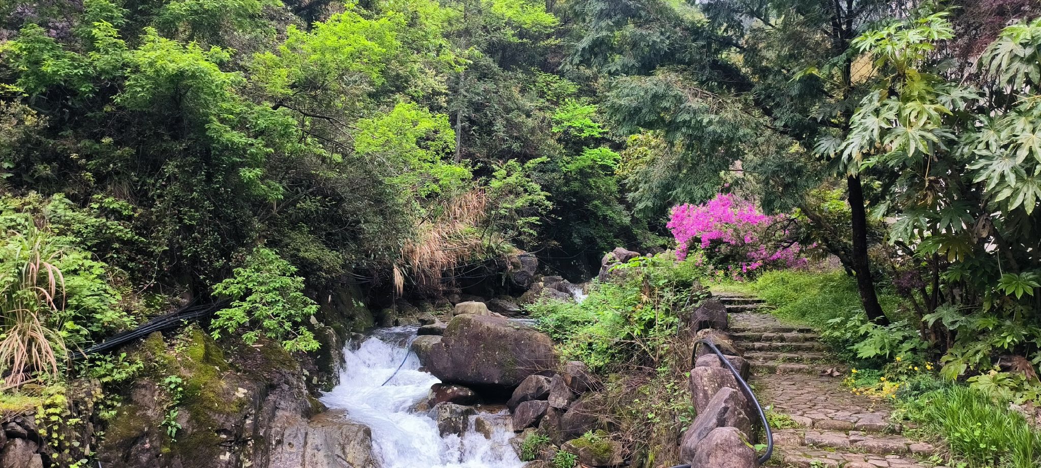 桃源七里景区旅行图片