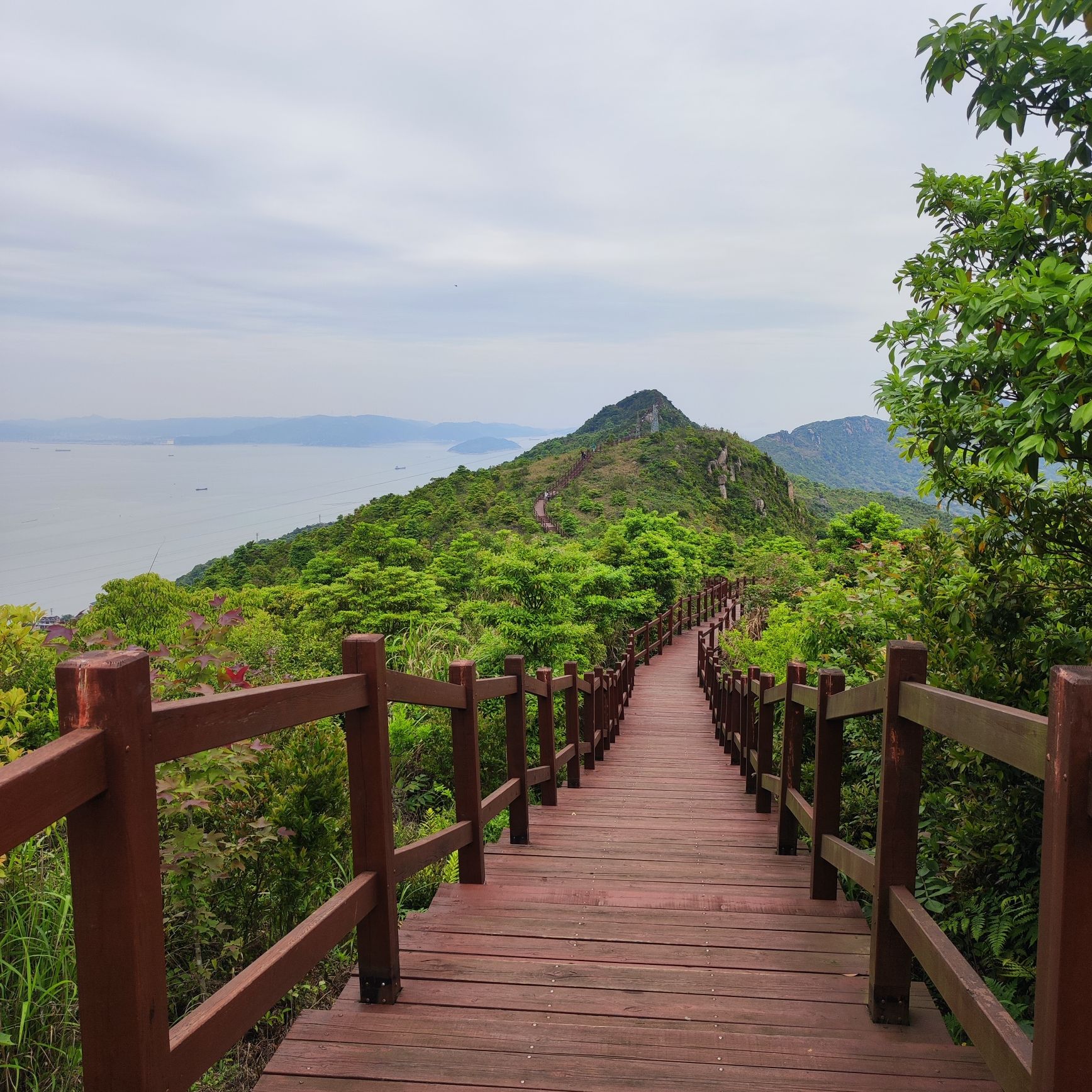 小荆山森林公园旅行图片