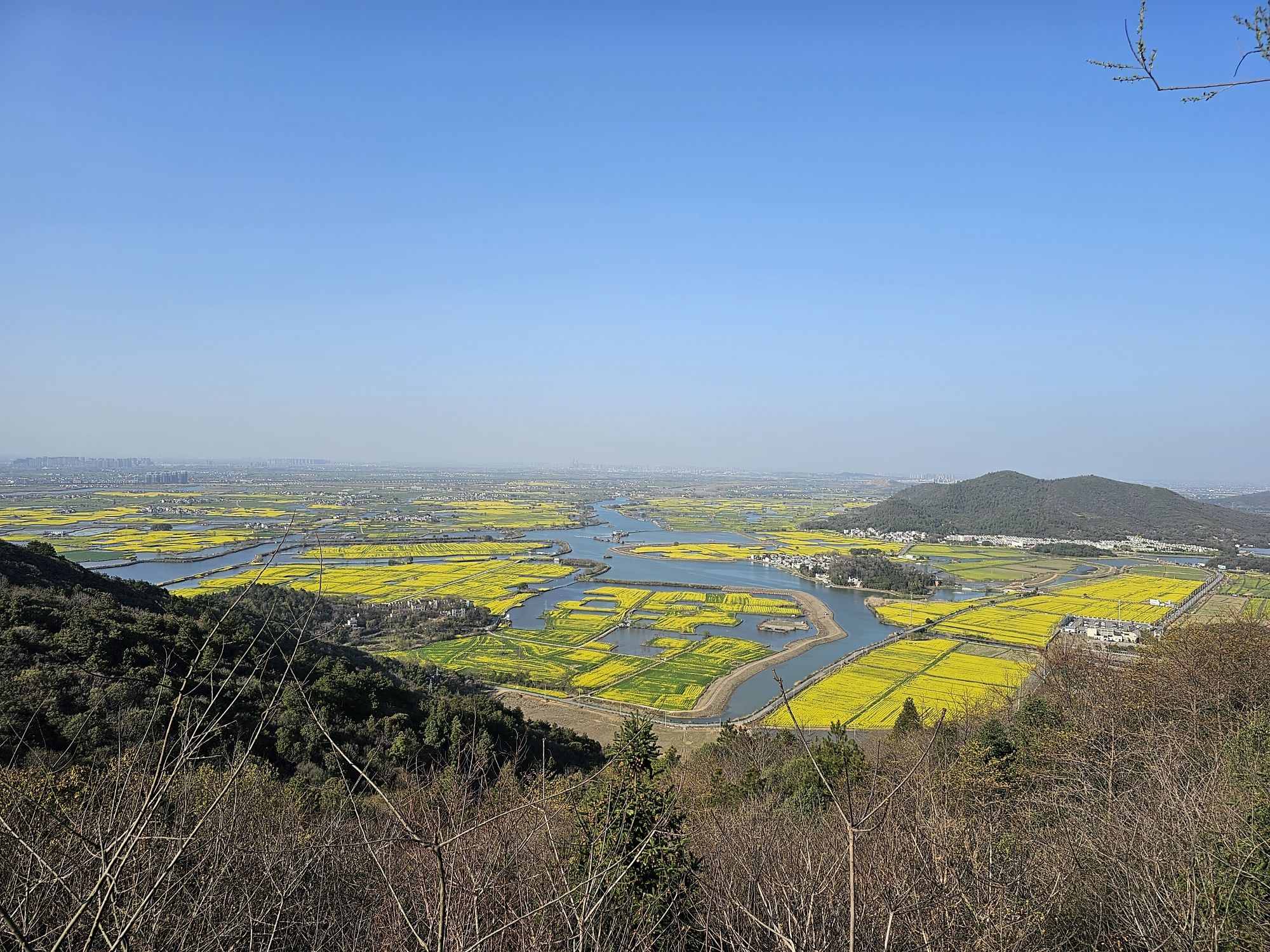 弋江区·响水涧油菜花