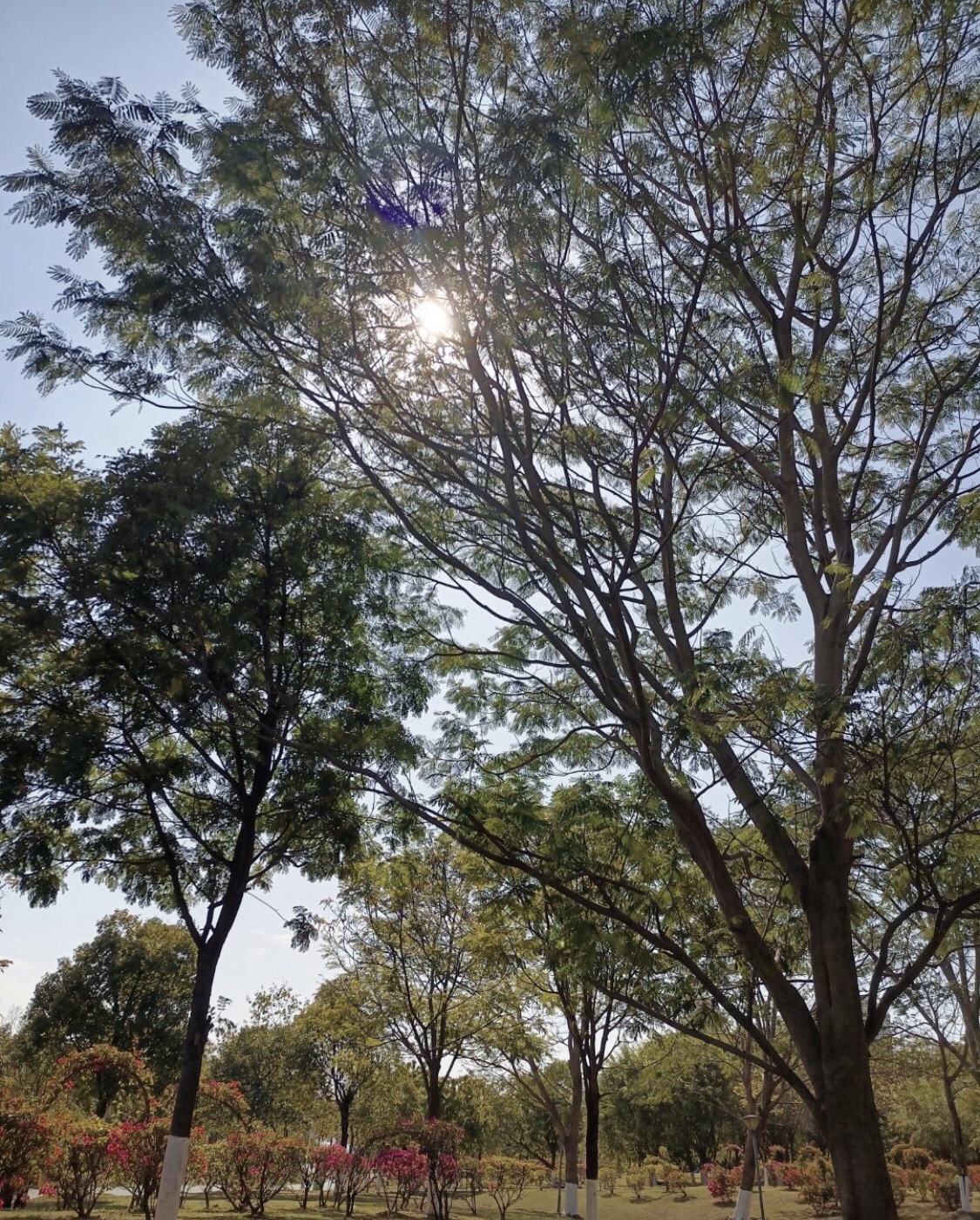 东江湾公园