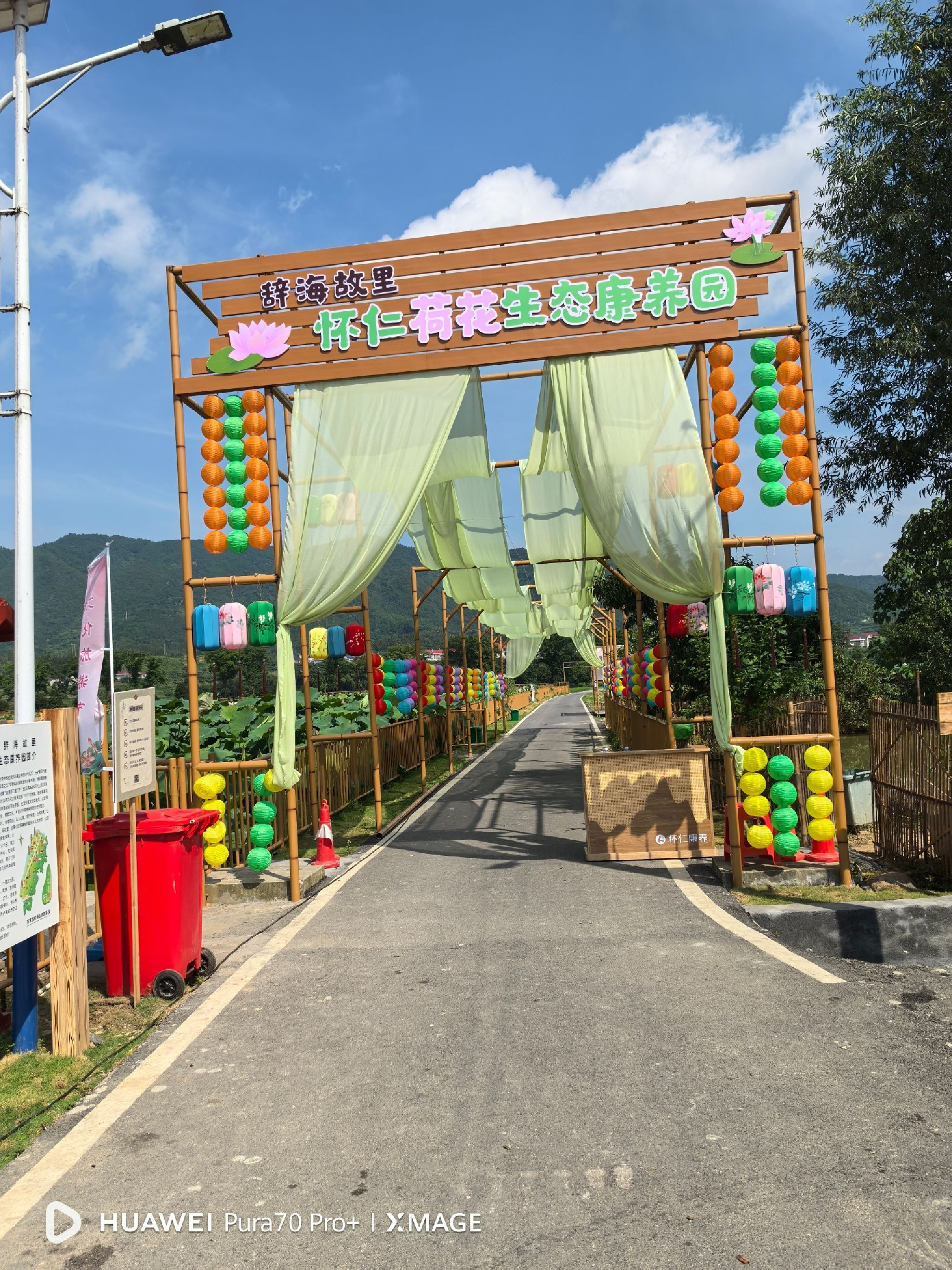 刘家渡荷花基地旅行图片