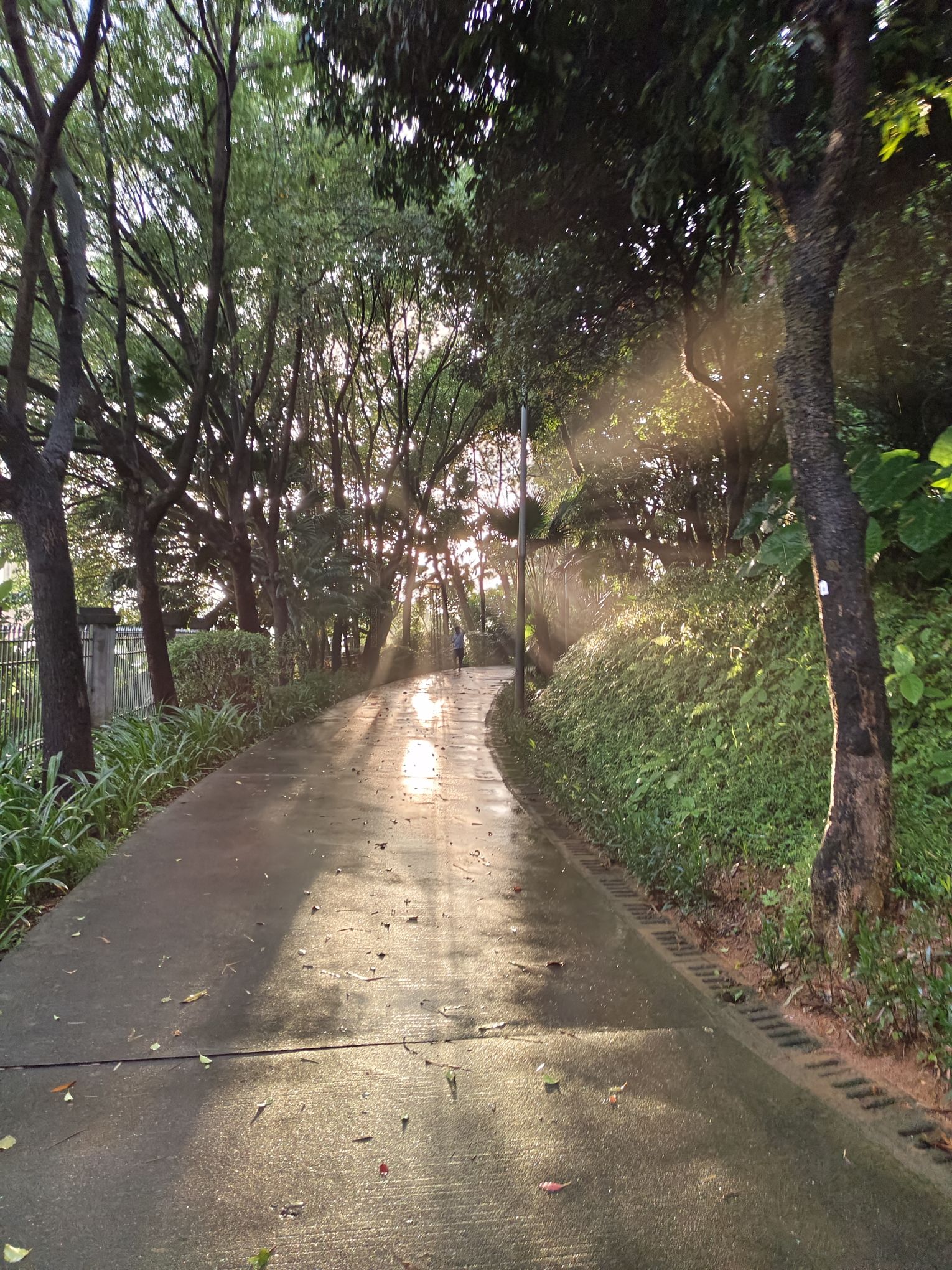 求雨岭公园旅行图片
