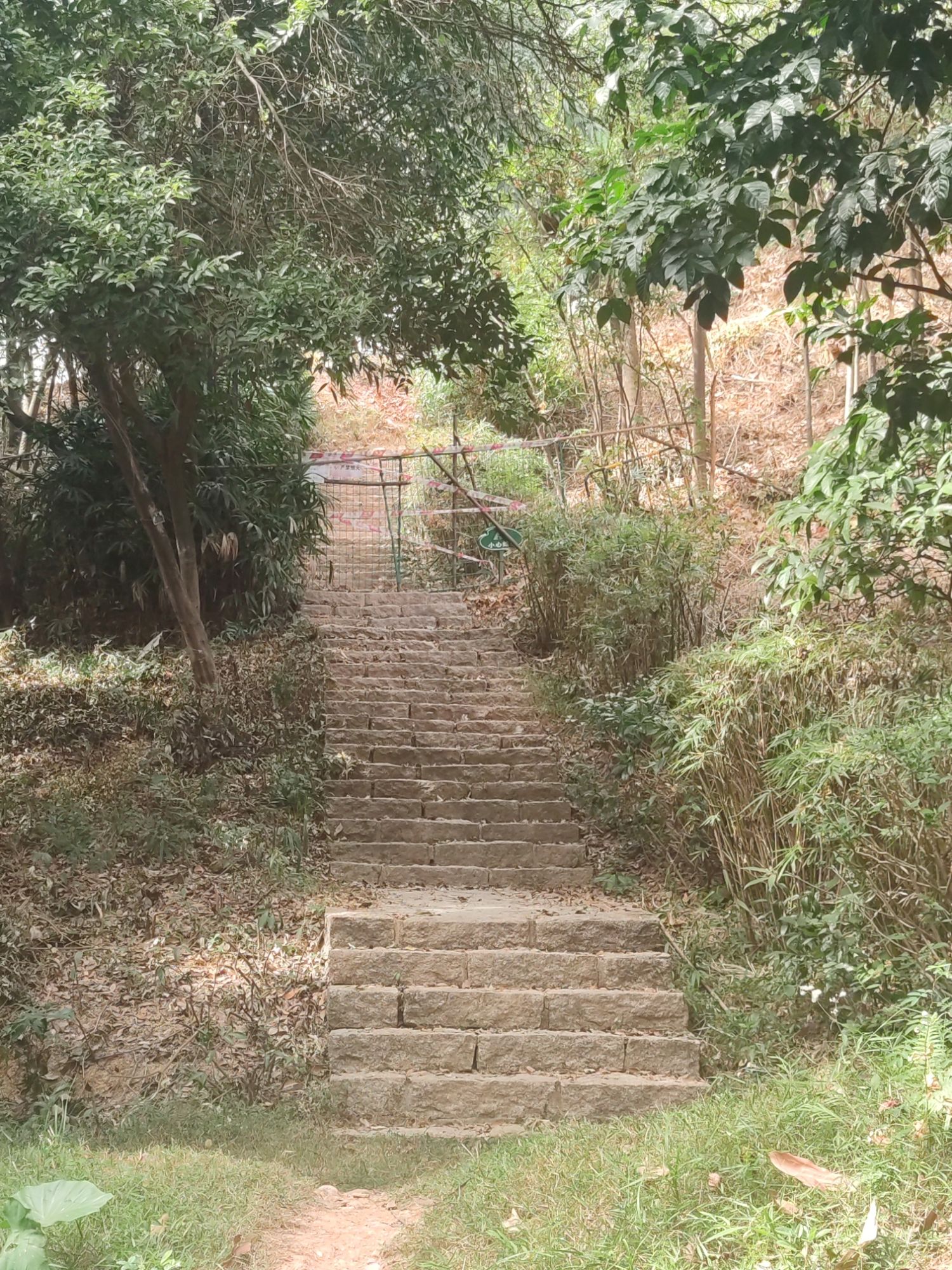 求雨岭公园旅行图片