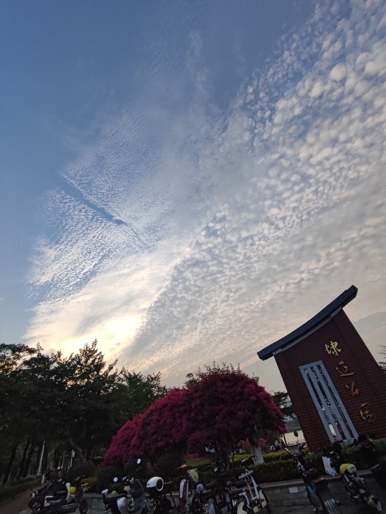 埭辽公园旅行图片
