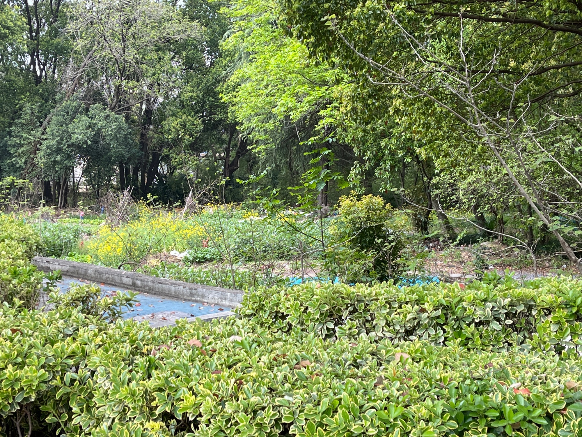 常州科普植物园