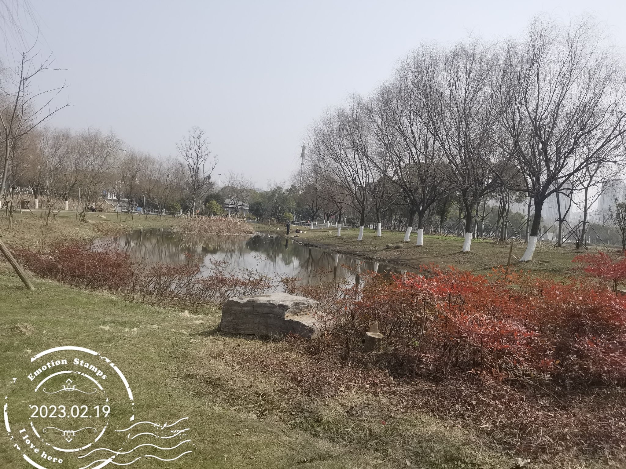光谷三路湿地公园