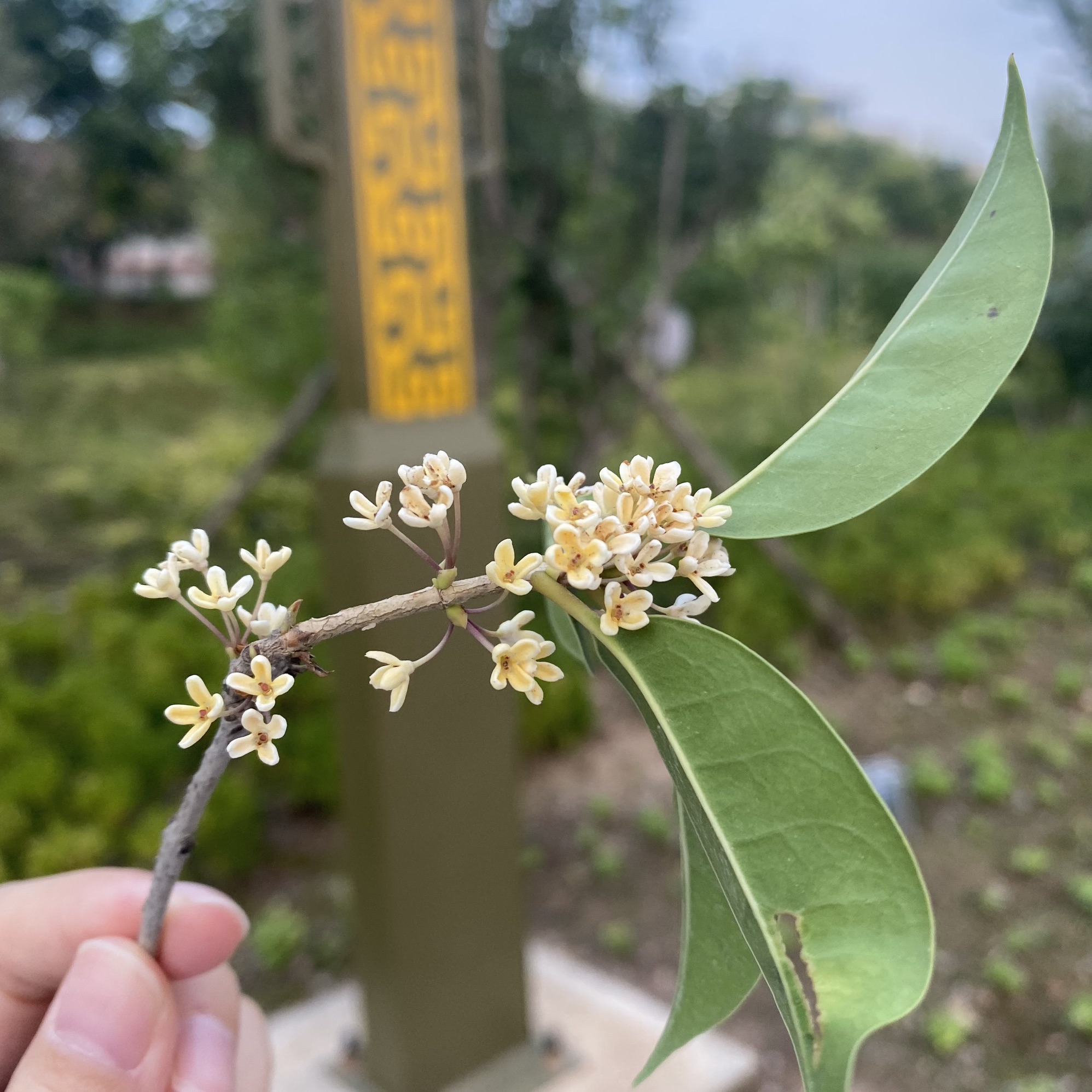 夏县大禹公园