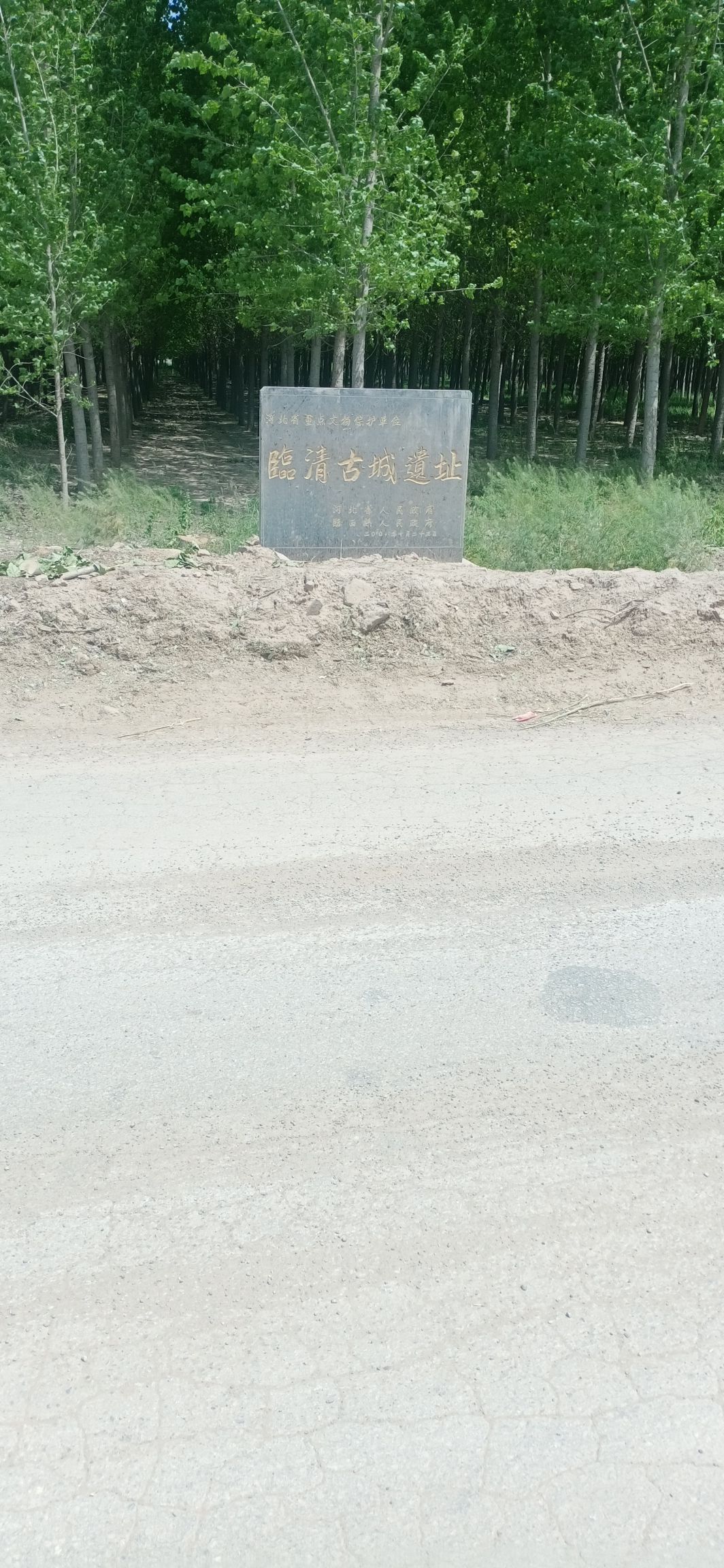 临清古城遗址旅行图片