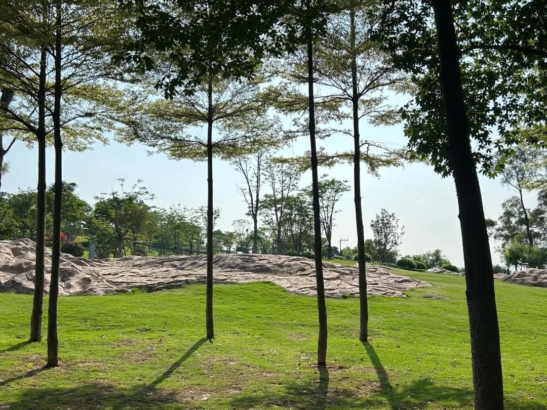 山边公园旅行图片