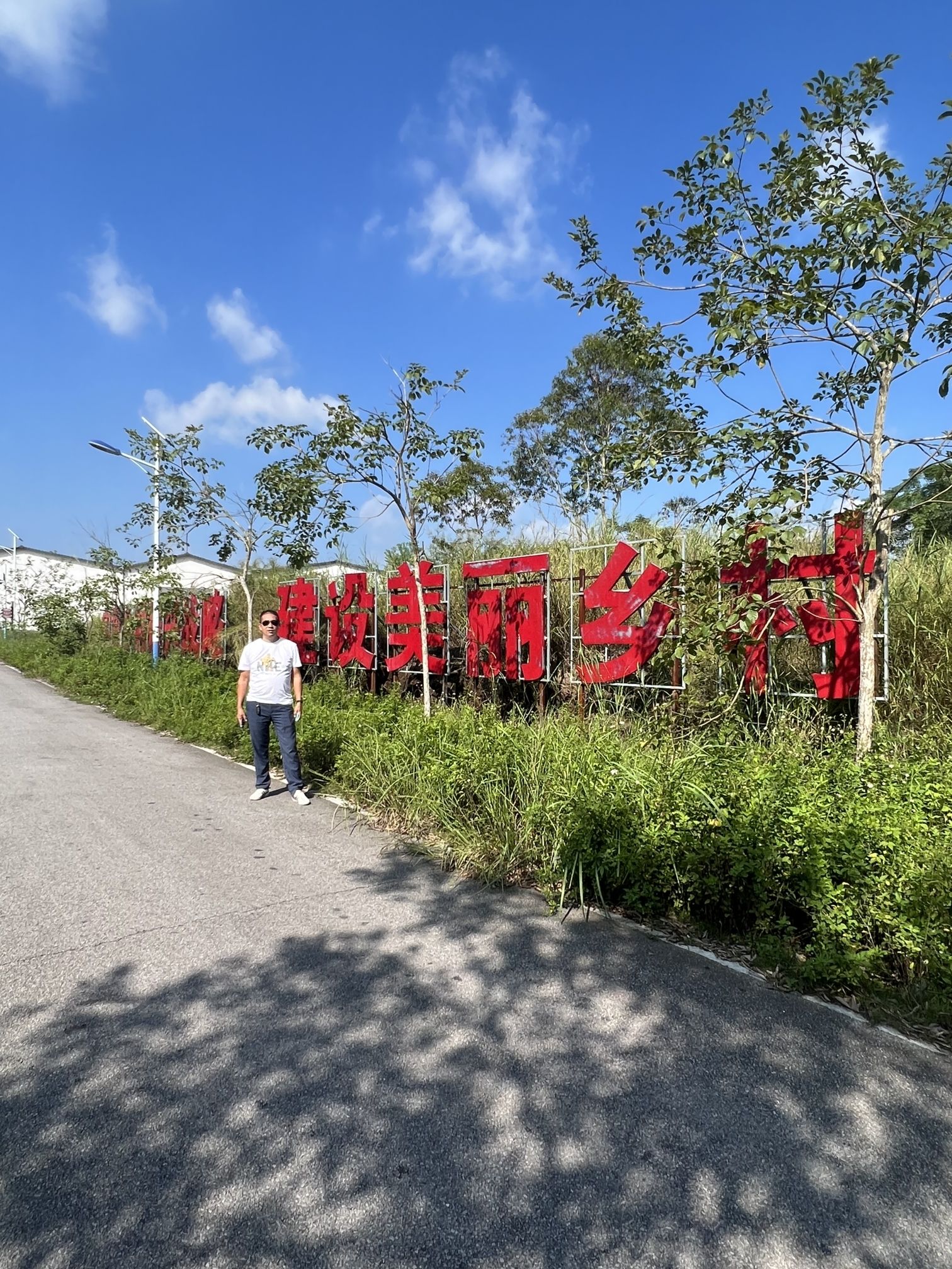 贵港市四季花田农业生态观光园旅行图片